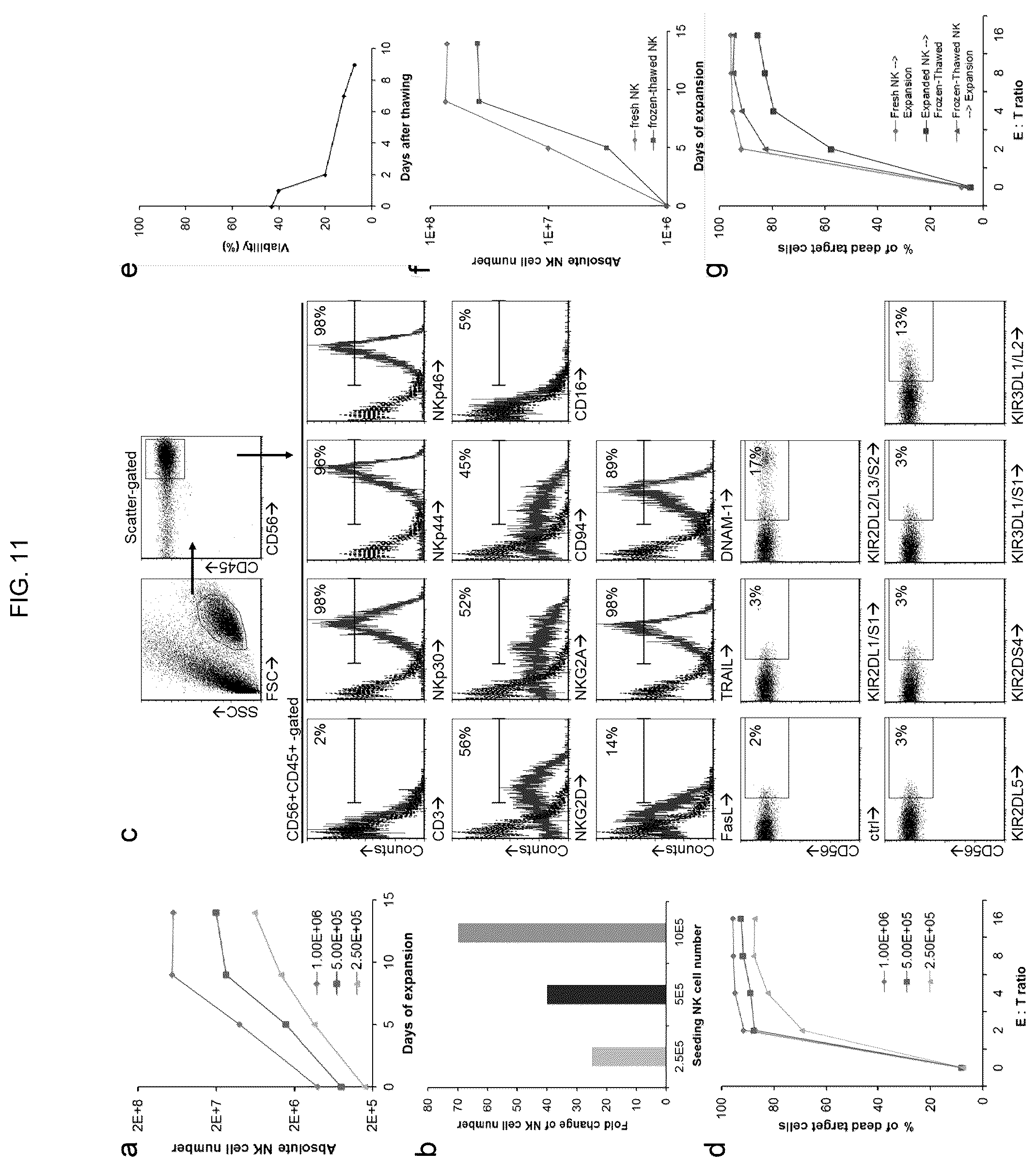 Patent US12410400 Figure 13 – Methods for generating mimetic innate immune cells from pluripotent stem cells