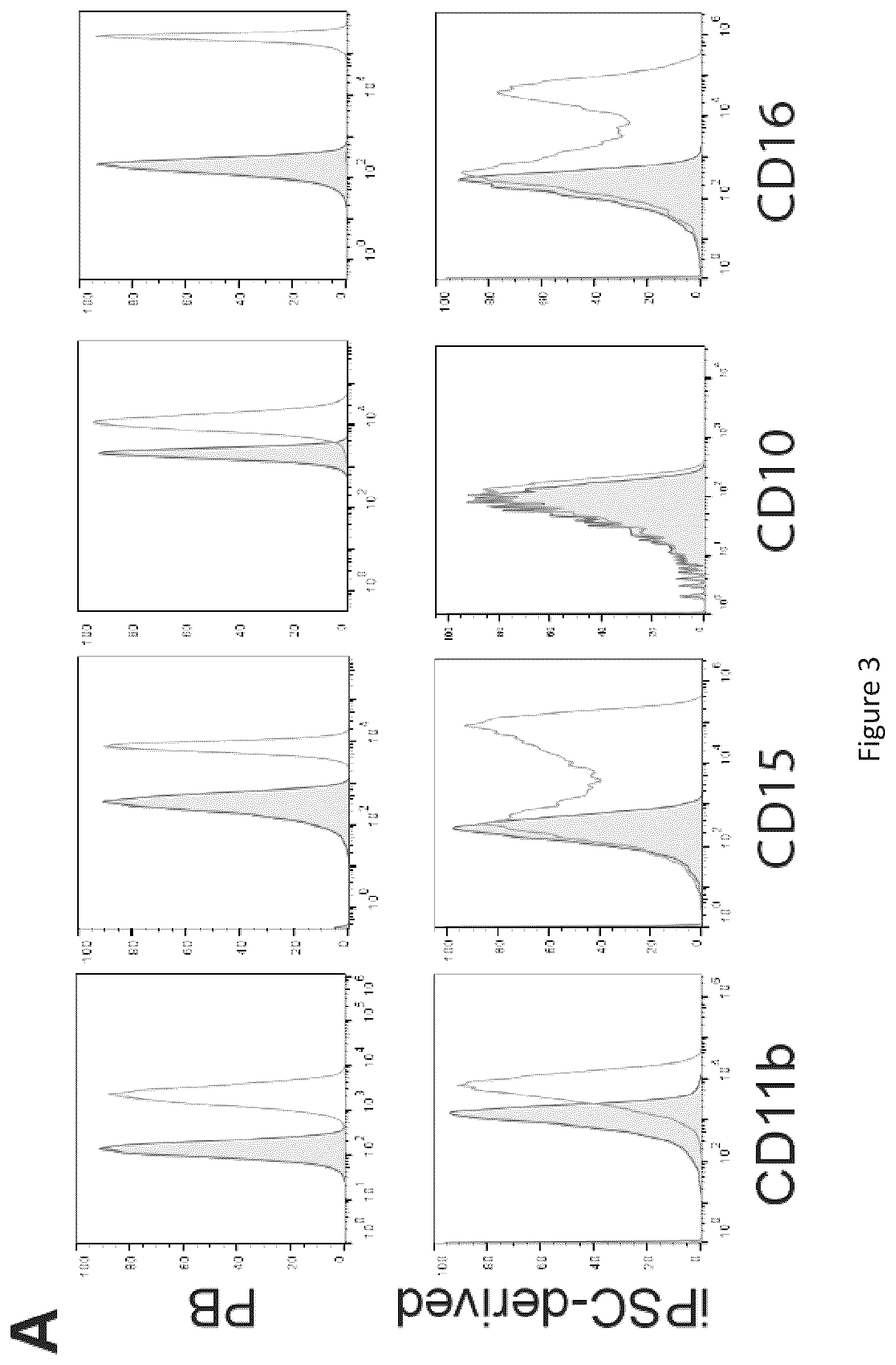 Patent US12410401 Figure 3 – Generation of functional neutrophils and macrophages from induced pluripotent stem cells in chemically defined conditions using transient expression of ETV2