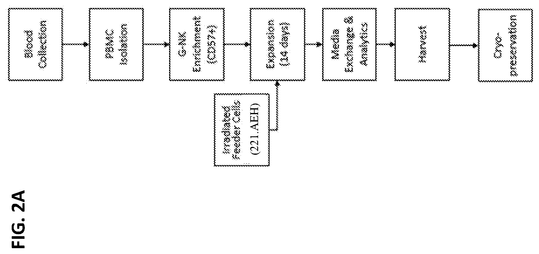 Patent US12410402 Figure 2 – Methods for expansion of natural killer (NK) cell subset and related compositions and methods