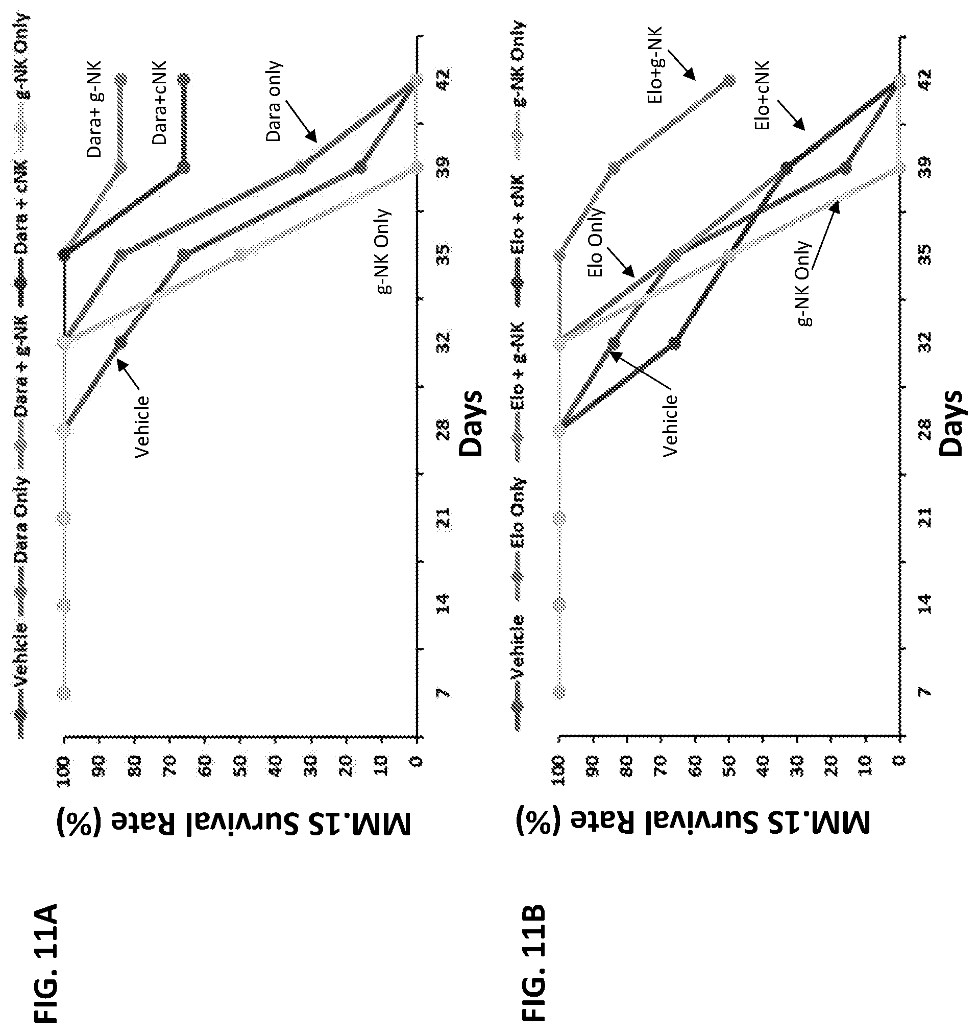 Patent US12410402 Figure 19 – Methods for expansion of natural killer (NK) cell subset and related compositions and methods
