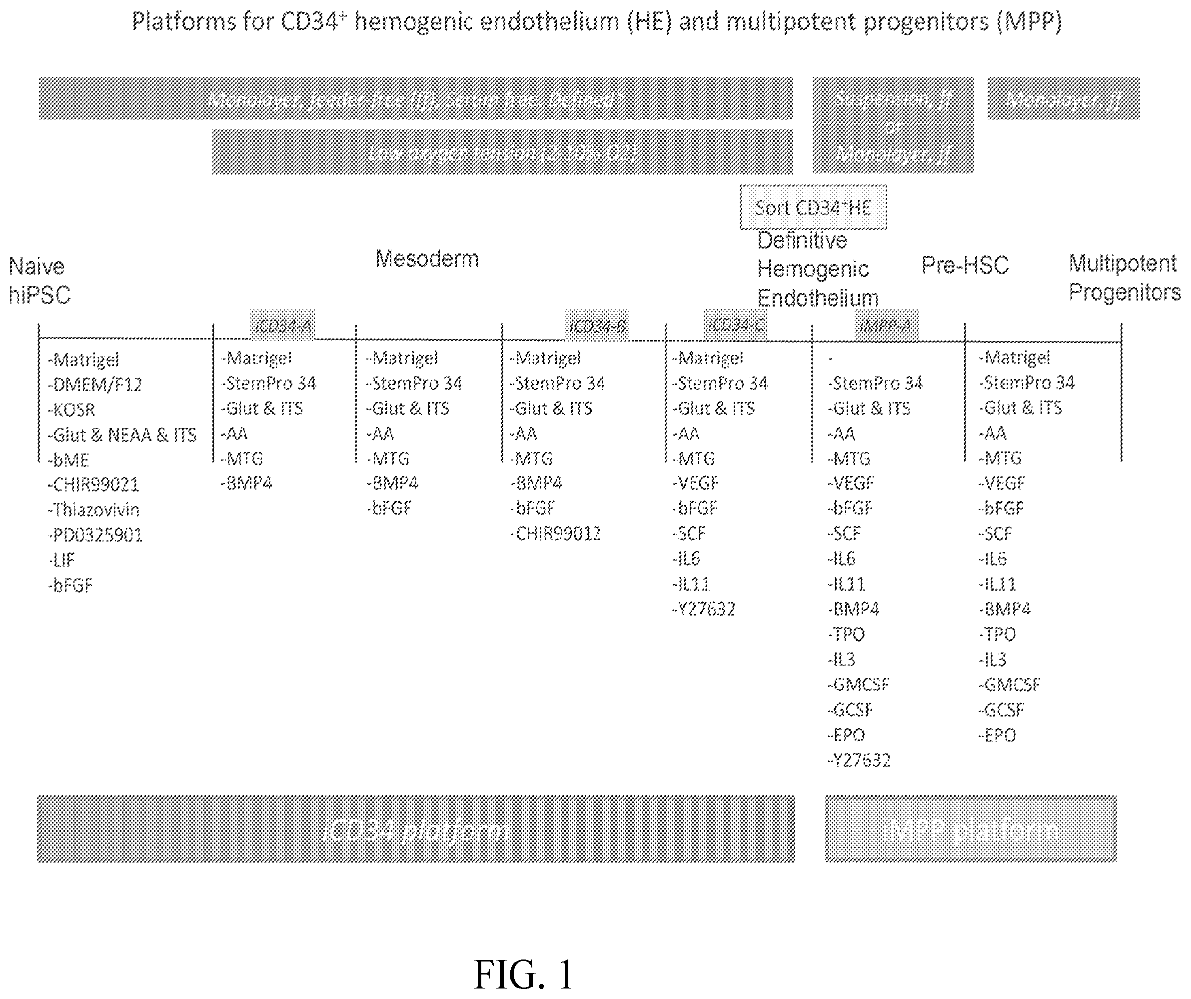 Patent US12410403 Figure 1 – Methods and compositions for inducing hematopoietic cell differentiation