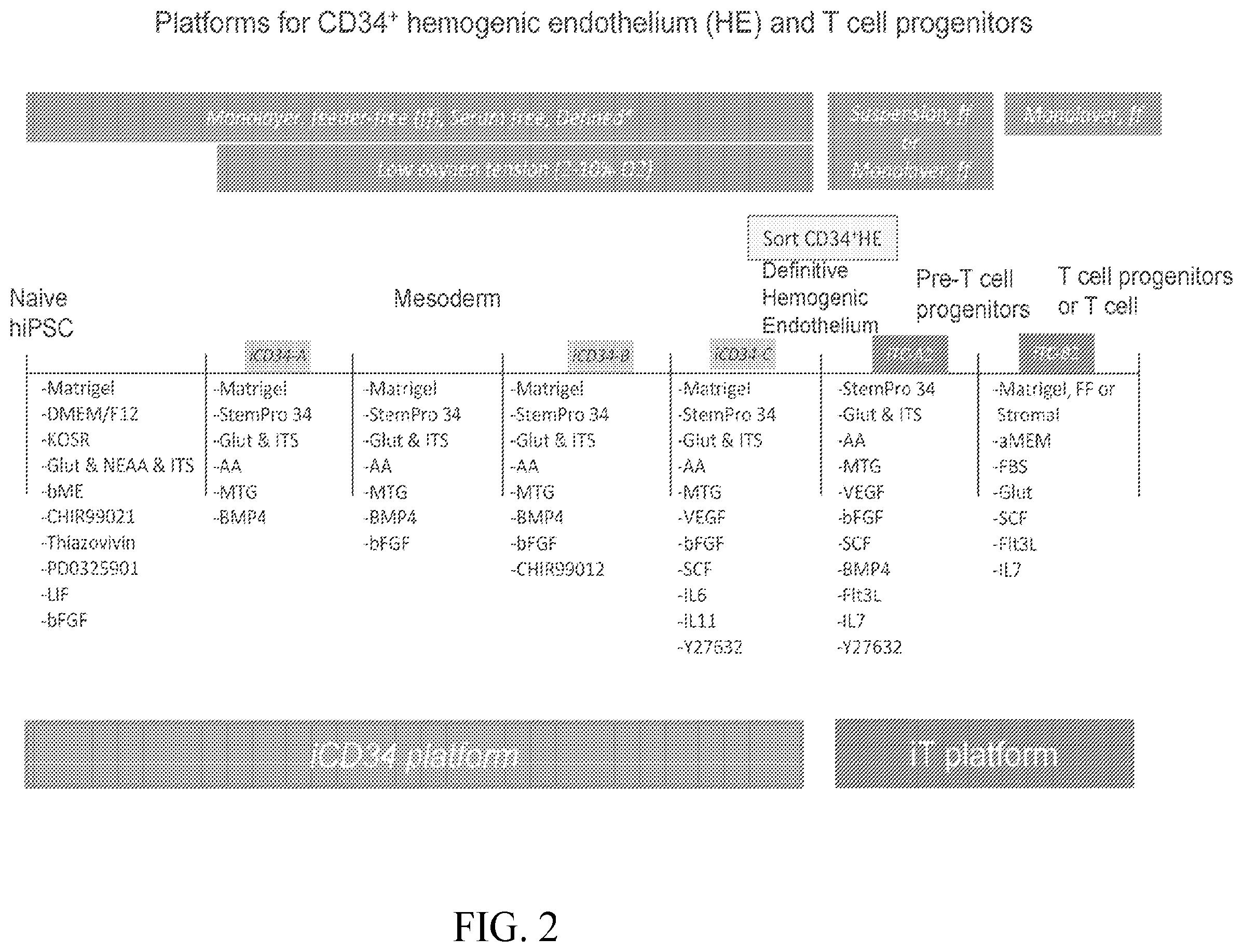 Patent US12410403 Figure 2 – Methods and compositions for inducing hematopoietic cell differentiation