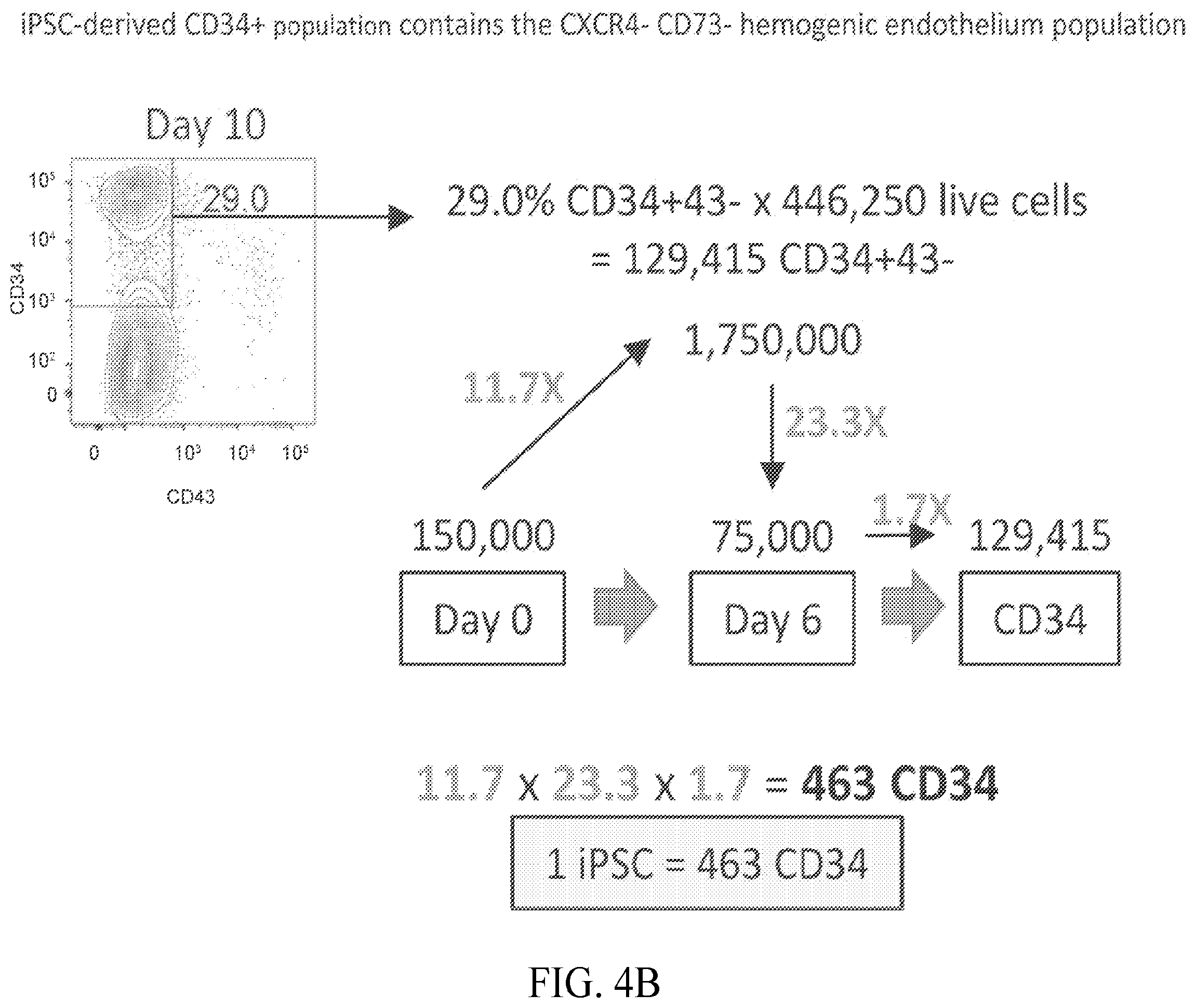 Patent US12410403 Figure 5 – Methods and compositions for inducing hematopoietic cell differentiation