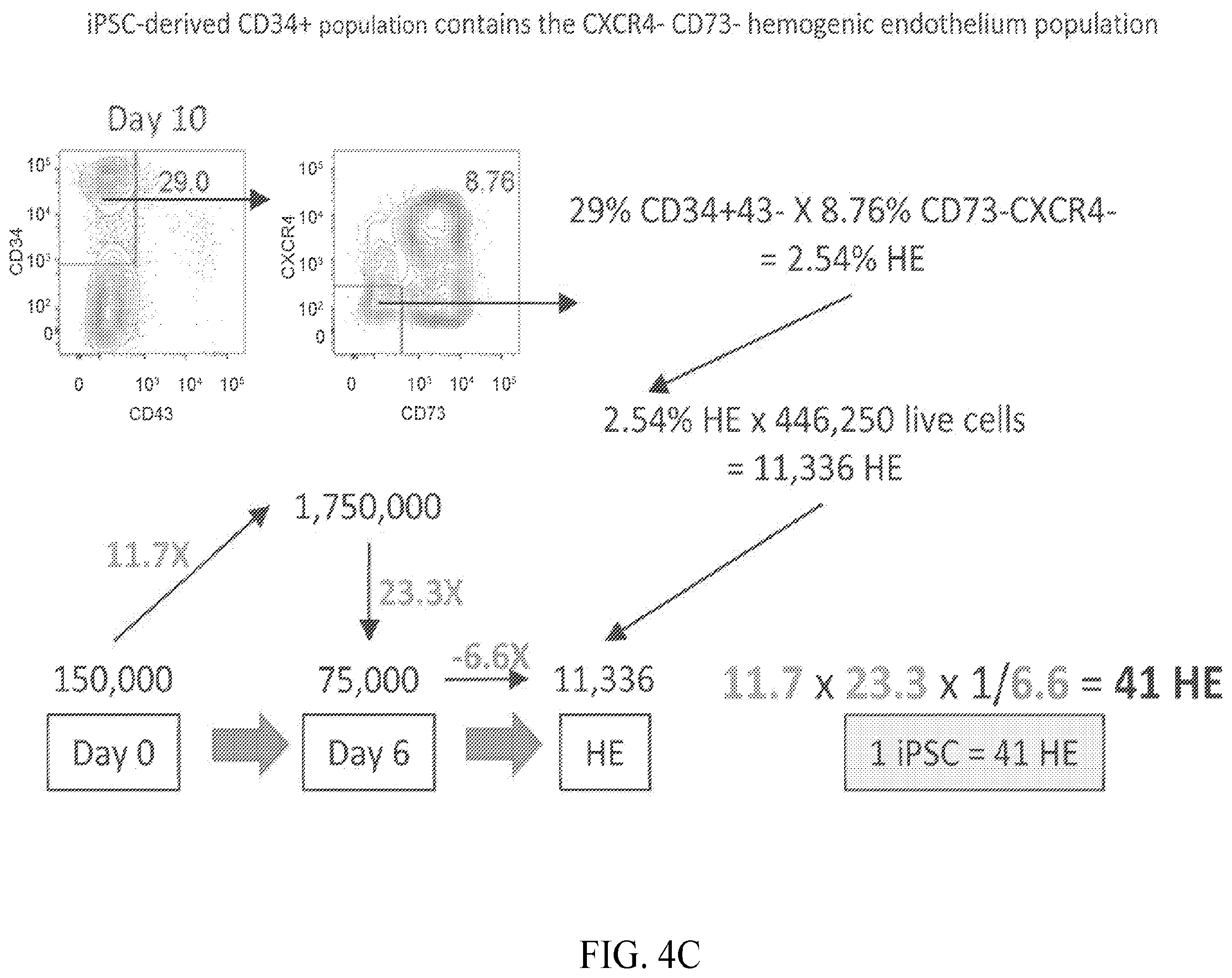 Patent US12410403 Figure 6 – Methods and compositions for inducing hematopoietic cell differentiation