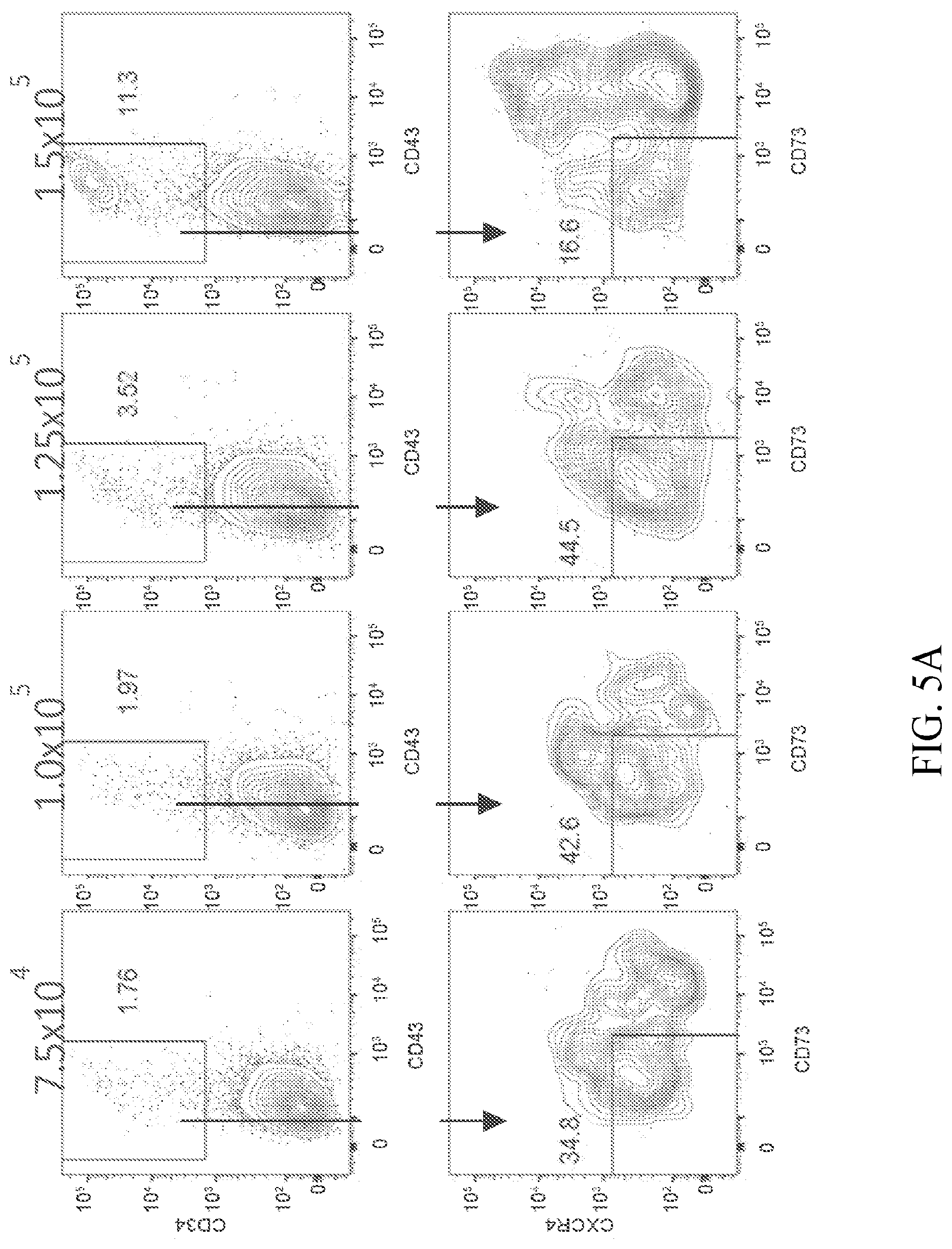 Patent US12410403 Figure 7 – Methods and compositions for inducing hematopoietic cell differentiation