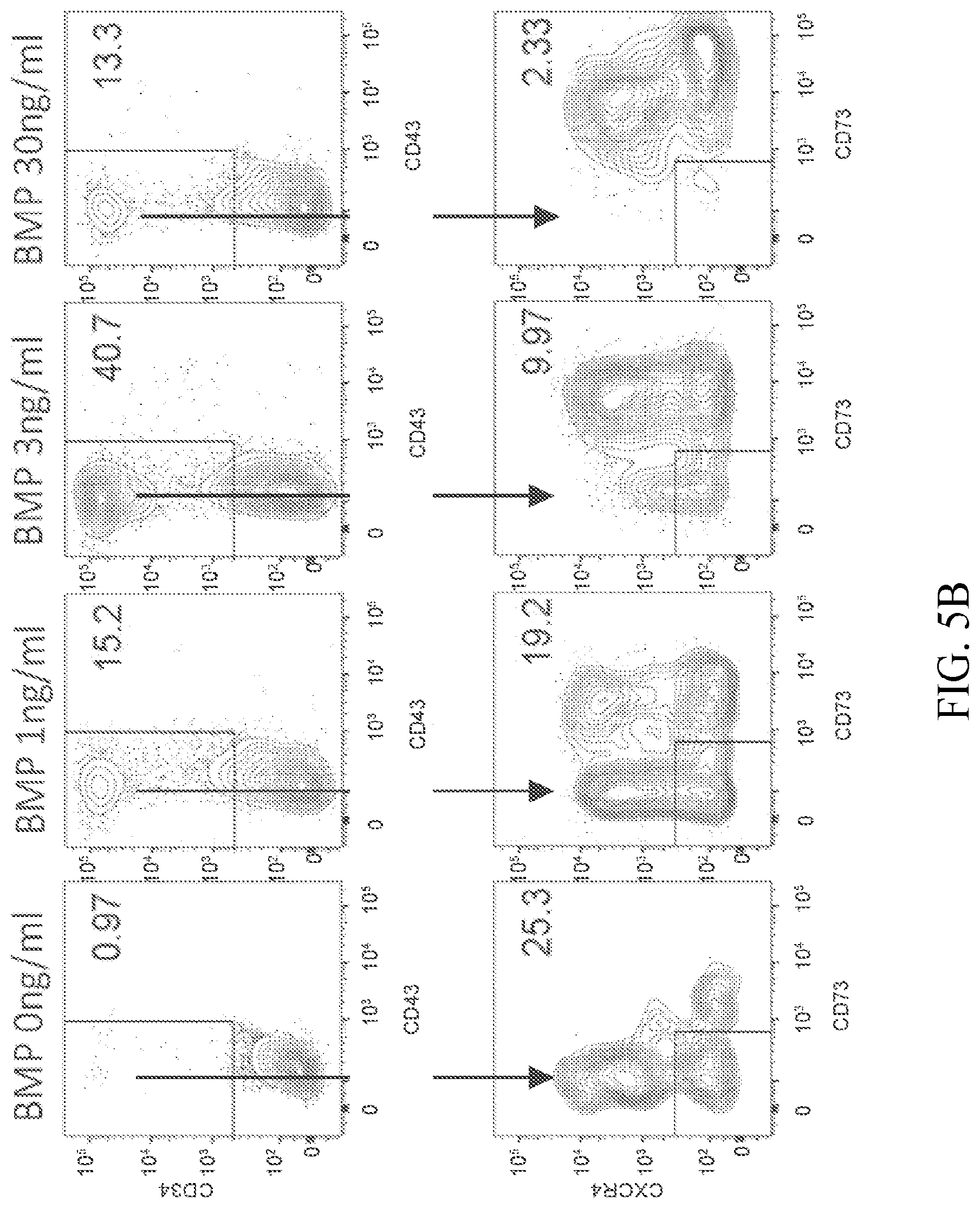 Patent US12410403 Figure 8 – Methods and compositions for inducing hematopoietic cell differentiation