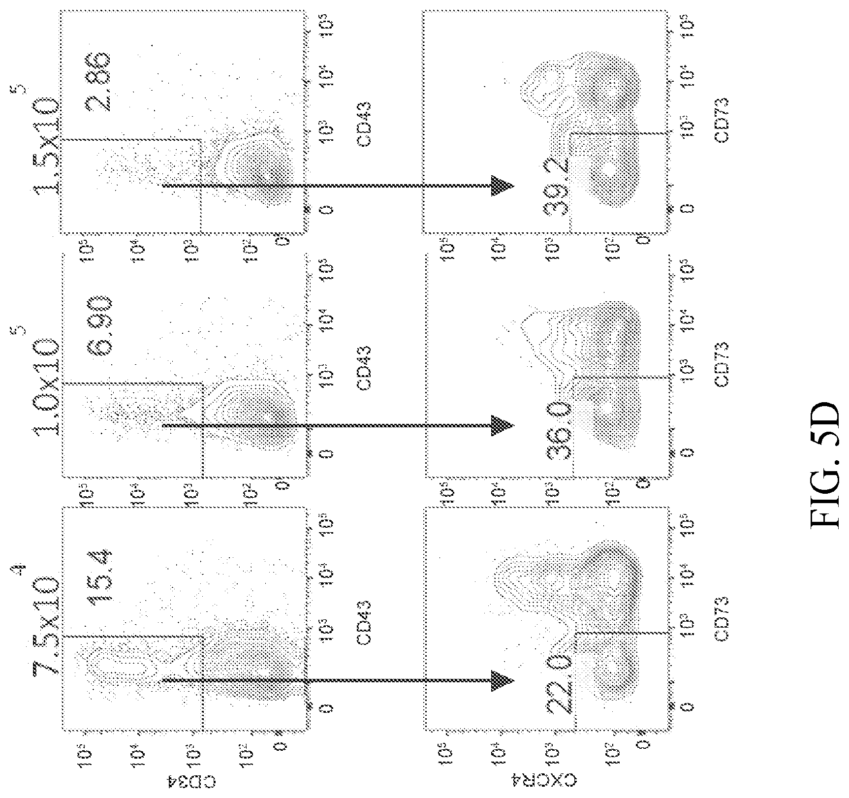 Patent US12410403 Figure 10 – Methods and compositions for inducing hematopoietic cell differentiation