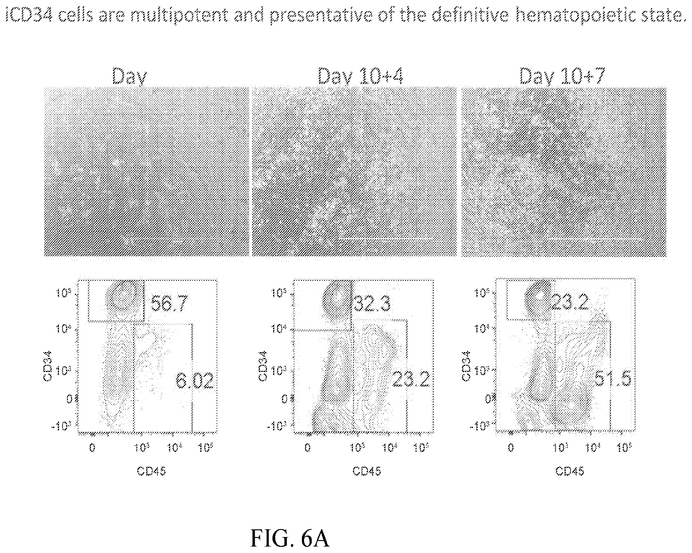 Patent US12410403 Figure 11 – Methods and compositions for inducing hematopoietic cell differentiation