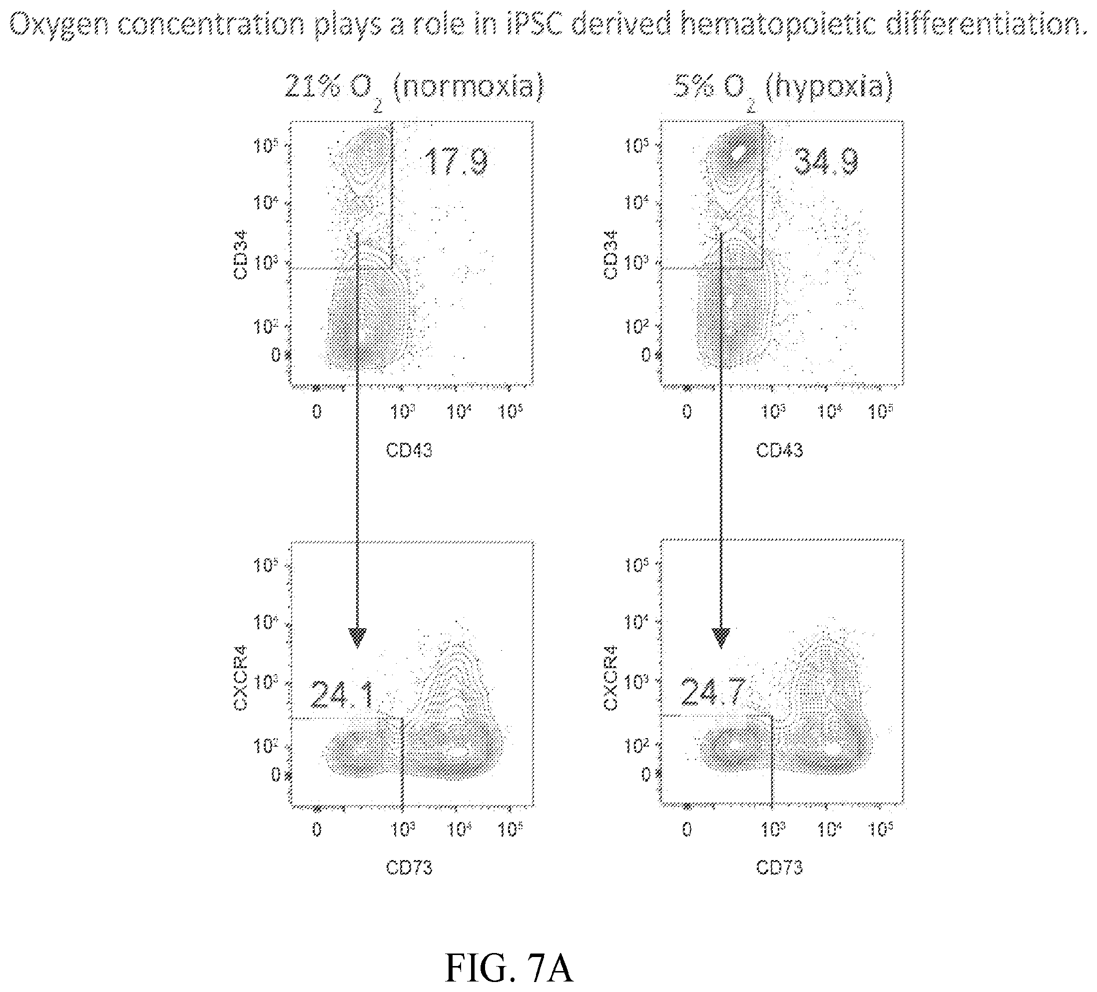 Patent US12410403 Figure 13 – Methods and compositions for inducing hematopoietic cell differentiation