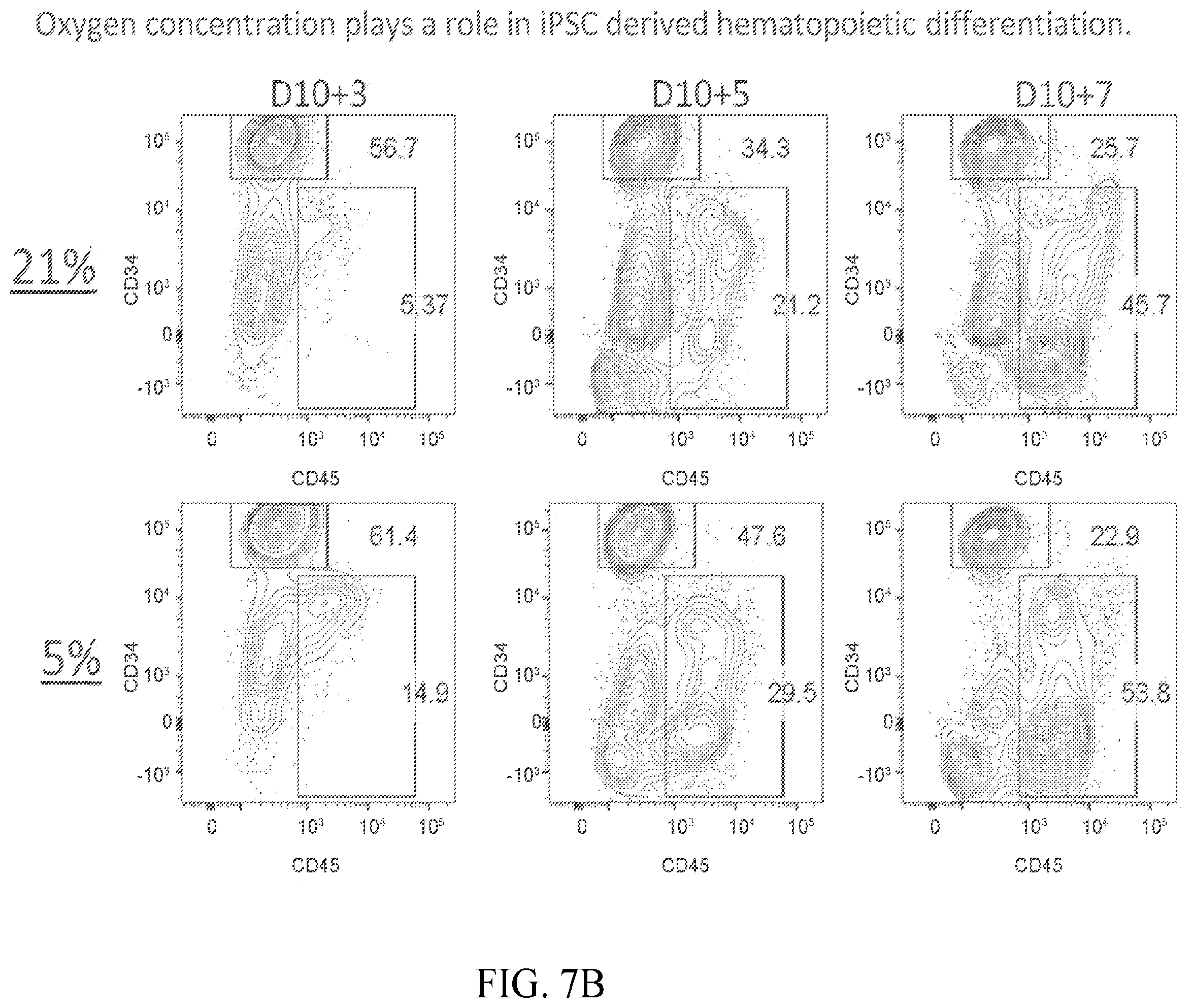 Patent US12410403 Figure 14 – Methods and compositions for inducing hematopoietic cell differentiation