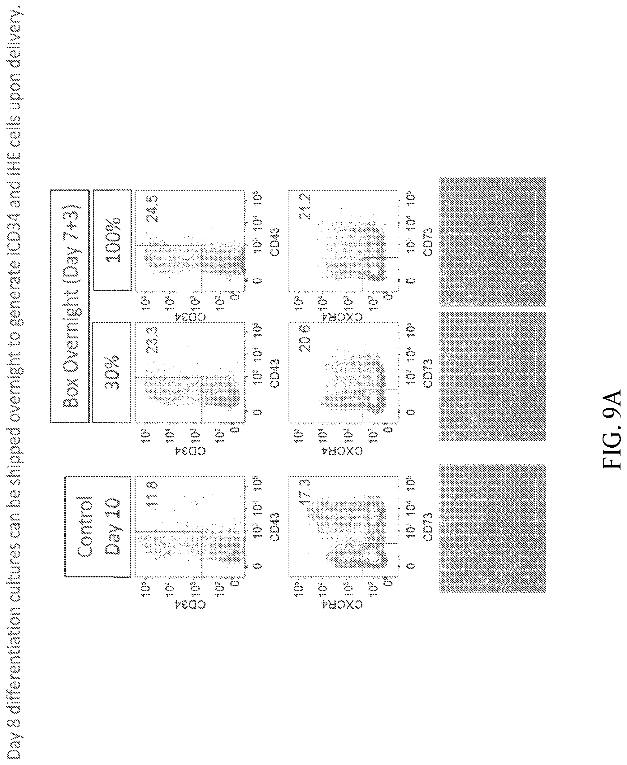 Patent US12410403 Figure 17 – Methods and compositions for inducing hematopoietic cell differentiation