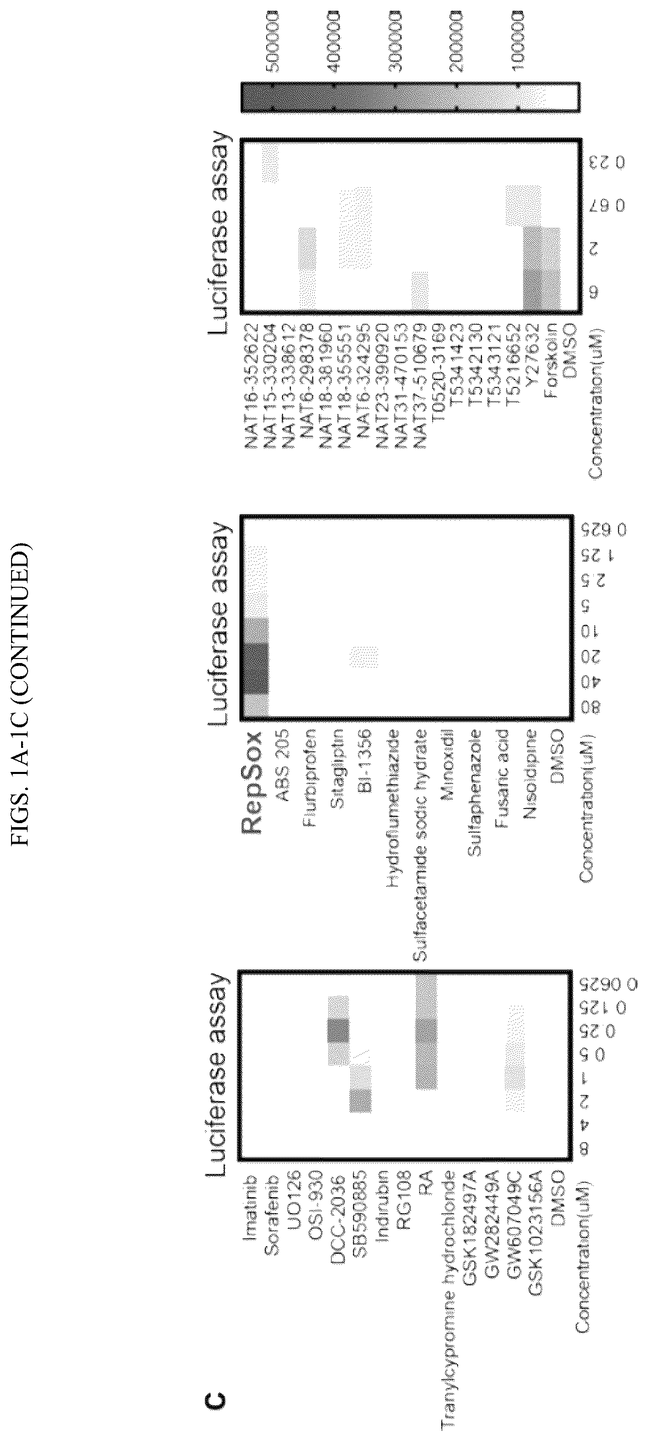 Patent US12410404 Figure 2 – Human pluripotent stem cell-based screening for smooth muscle cell differentiation and disease