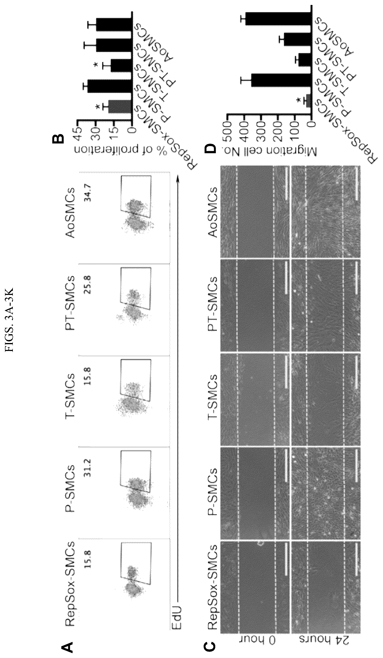 Patent US12410404 Figure 5 – Human pluripotent stem cell-based screening for smooth muscle cell differentiation and disease