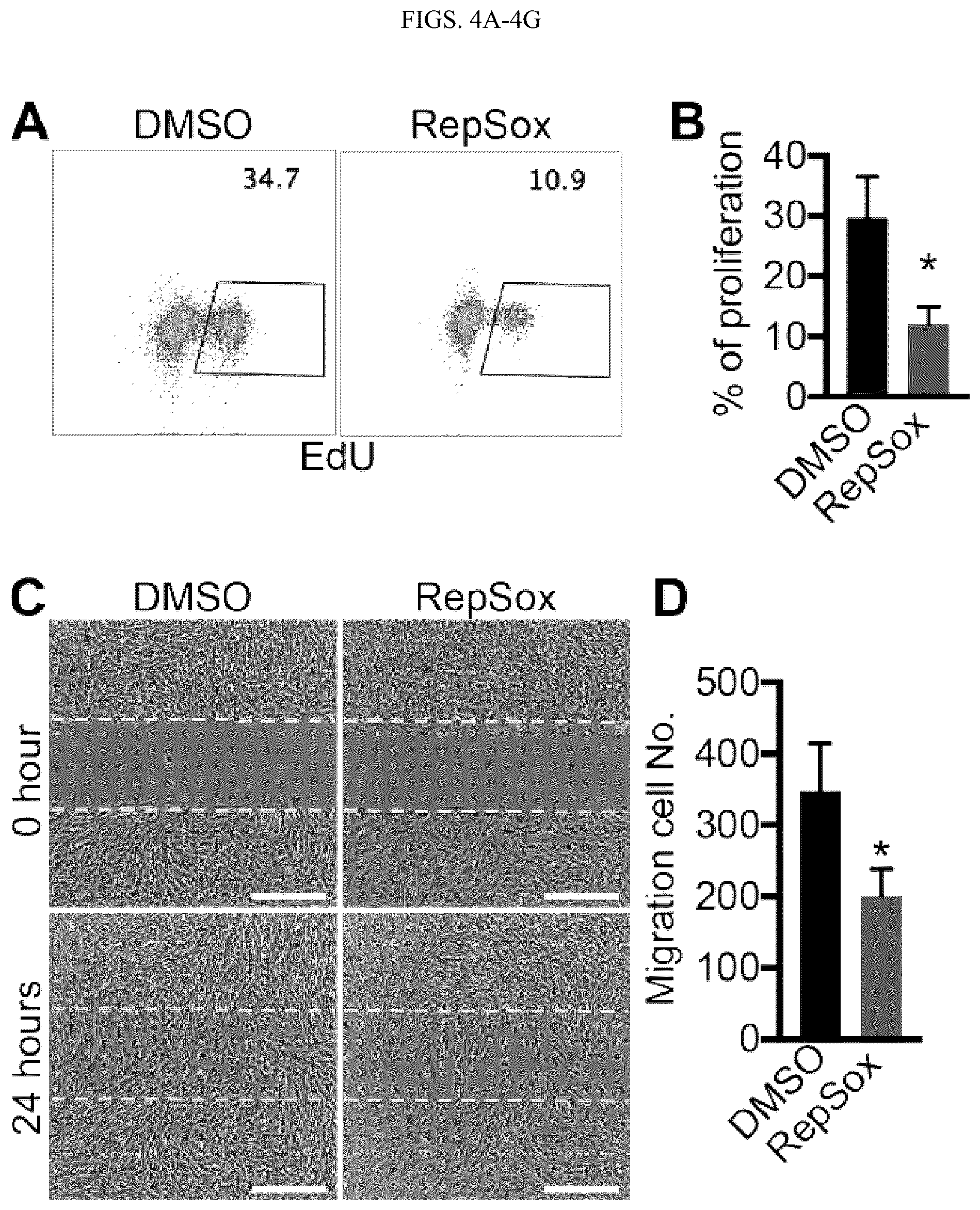 Patent US12410404 Figure 8 – Human pluripotent stem cell-based screening for smooth muscle cell differentiation and disease