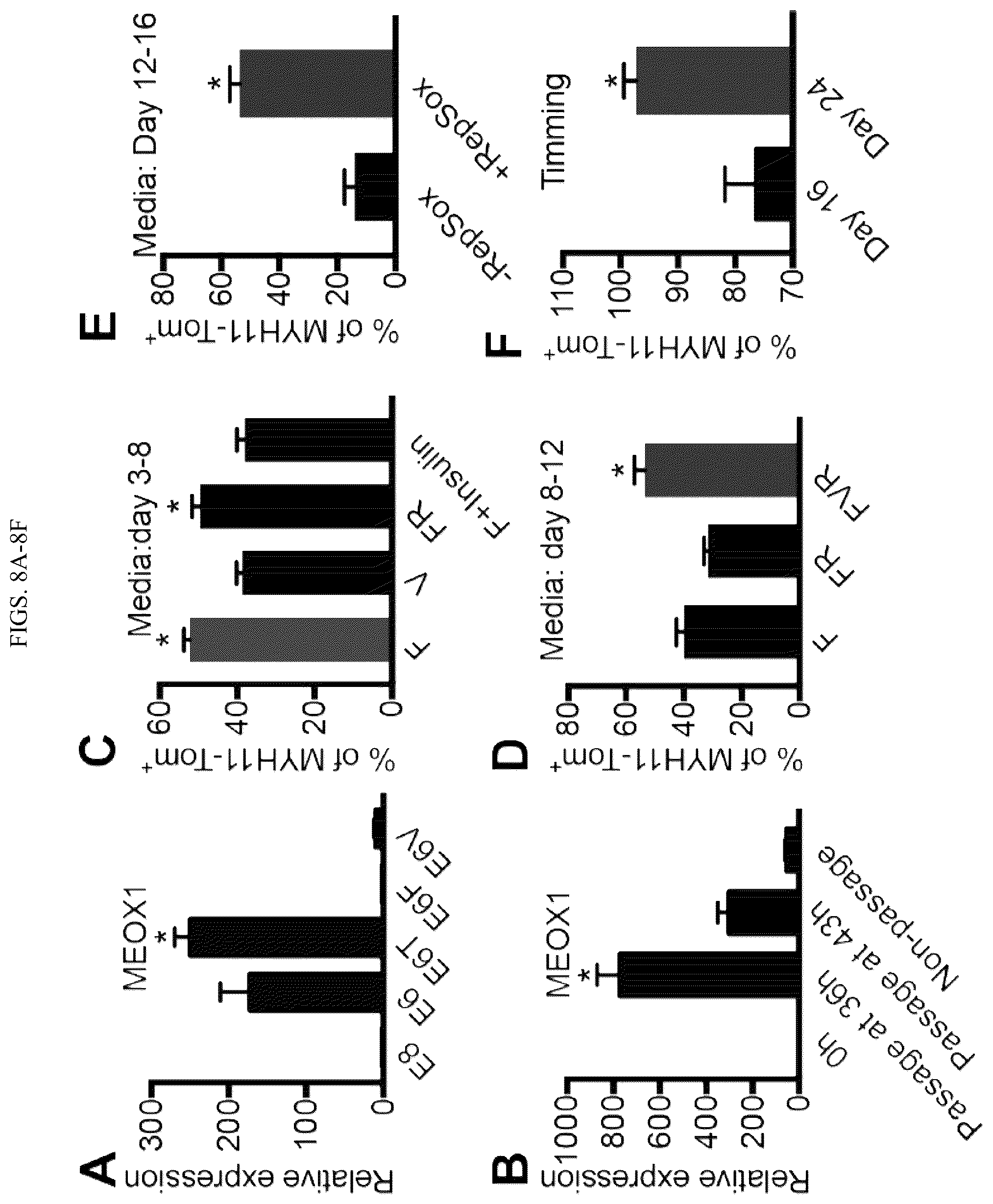 Patent US12410404 Figure 16 – Human pluripotent stem cell-based screening for smooth muscle cell differentiation and disease