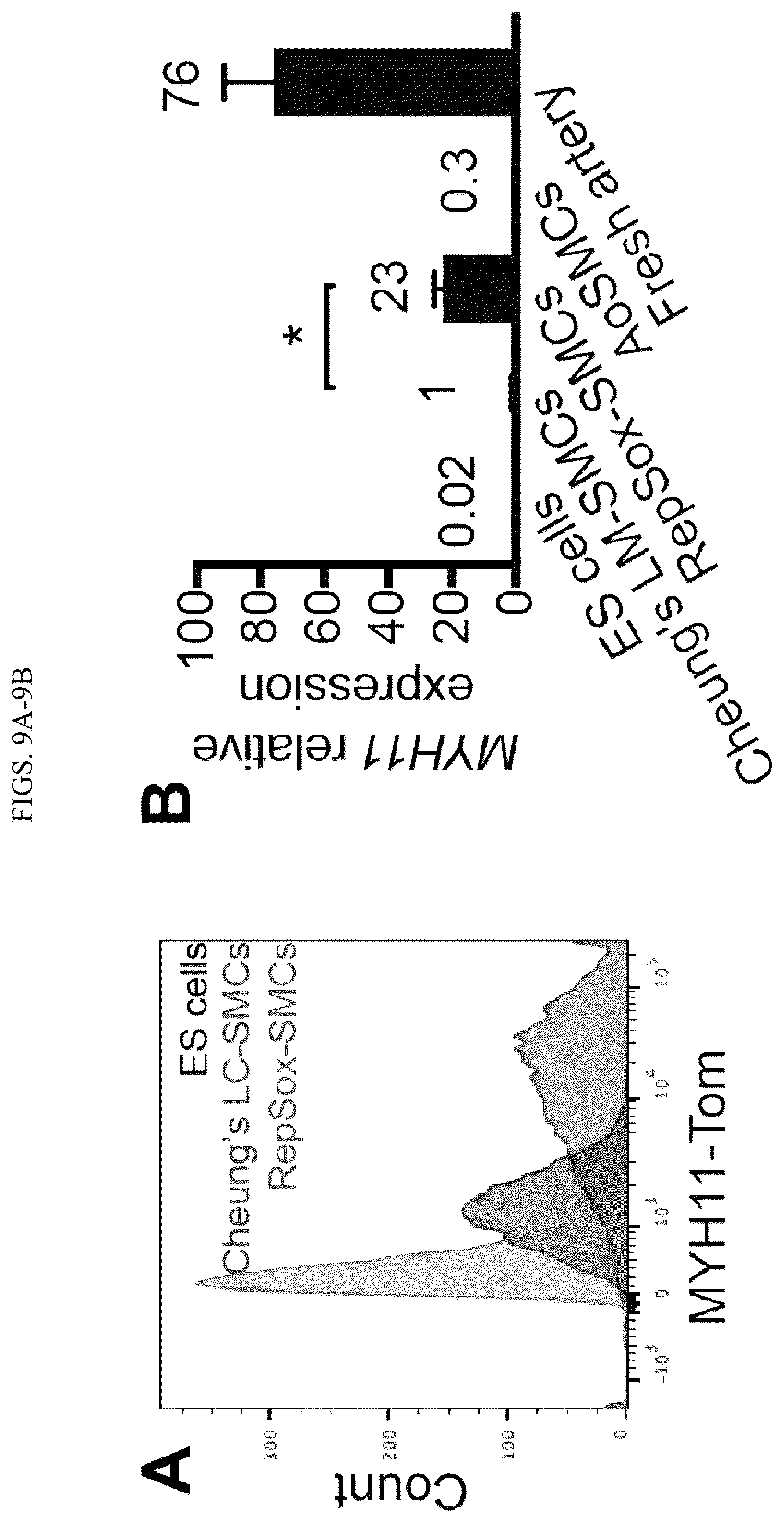 Patent US12410404 Figure 17 – Human pluripotent stem cell-based screening for smooth muscle cell differentiation and disease