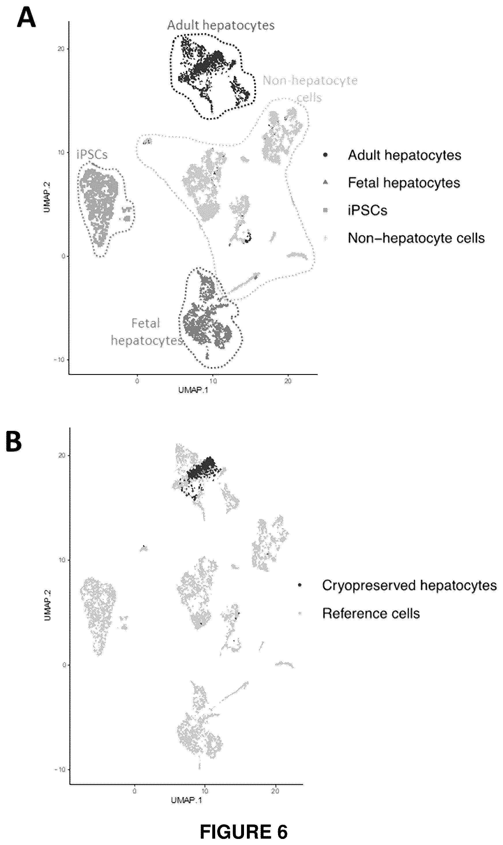 Patent US12410406 Figure 6 – Method of generating hepatic cells