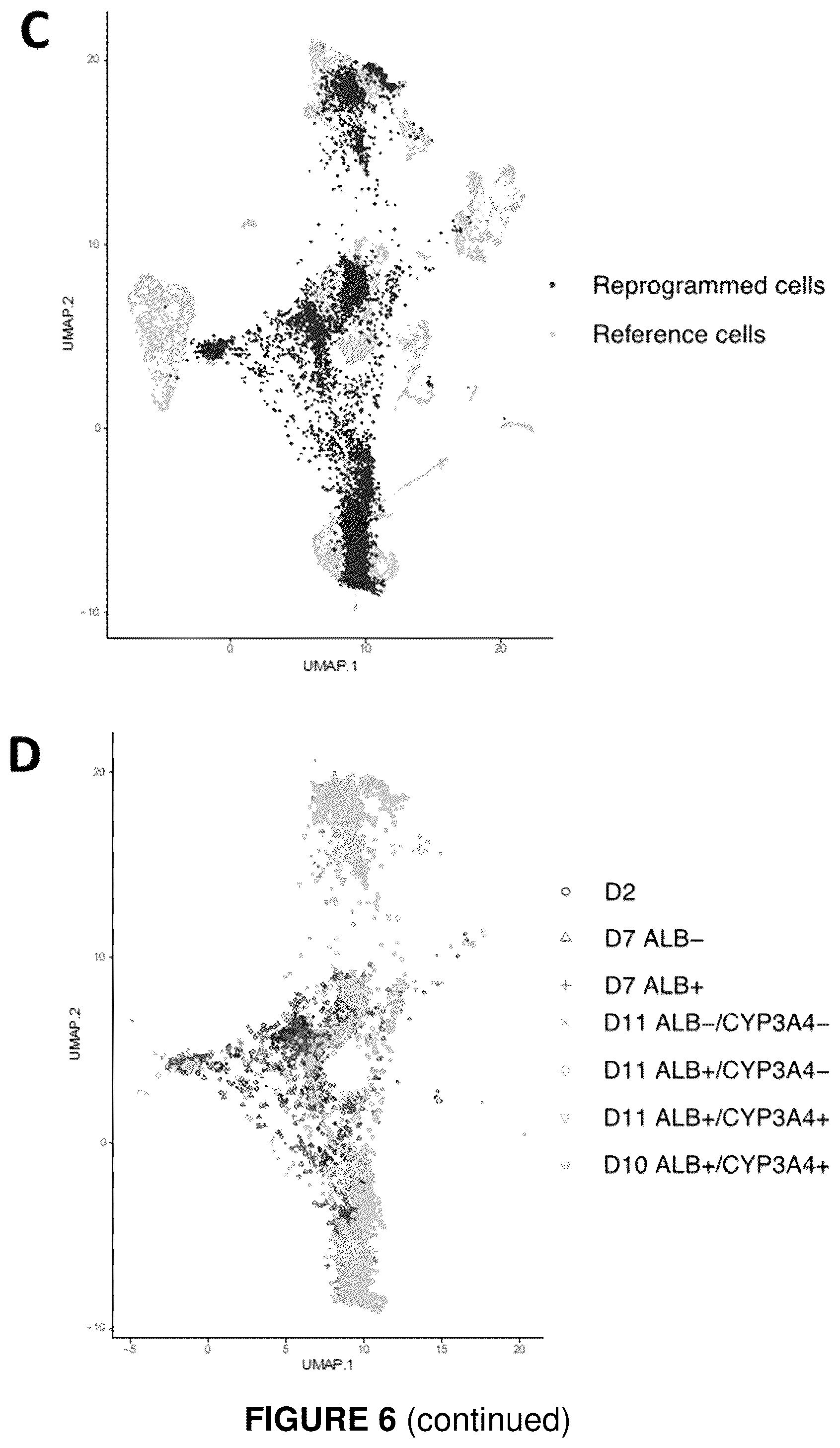 Patent US12410406 Figure 7 – Method of generating hepatic cells
