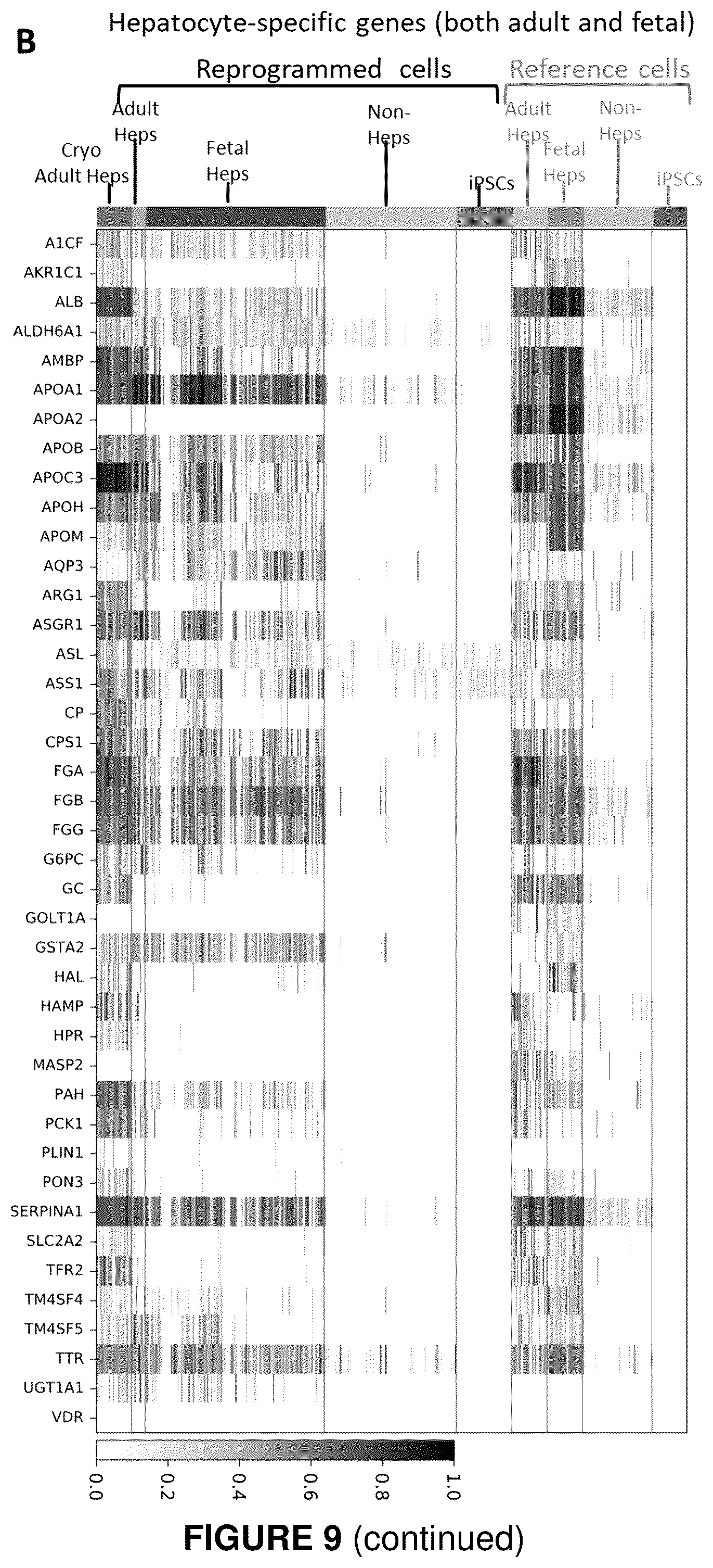 Patent US12410406 Figure 12 – Method of generating hepatic cells