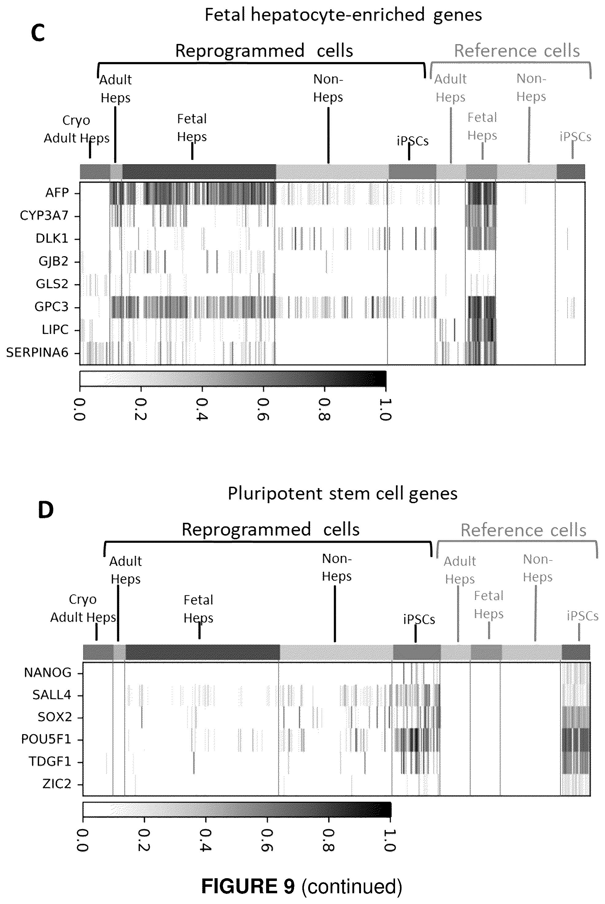 Patent US12410406 Figure 13 – Method of generating hepatic cells