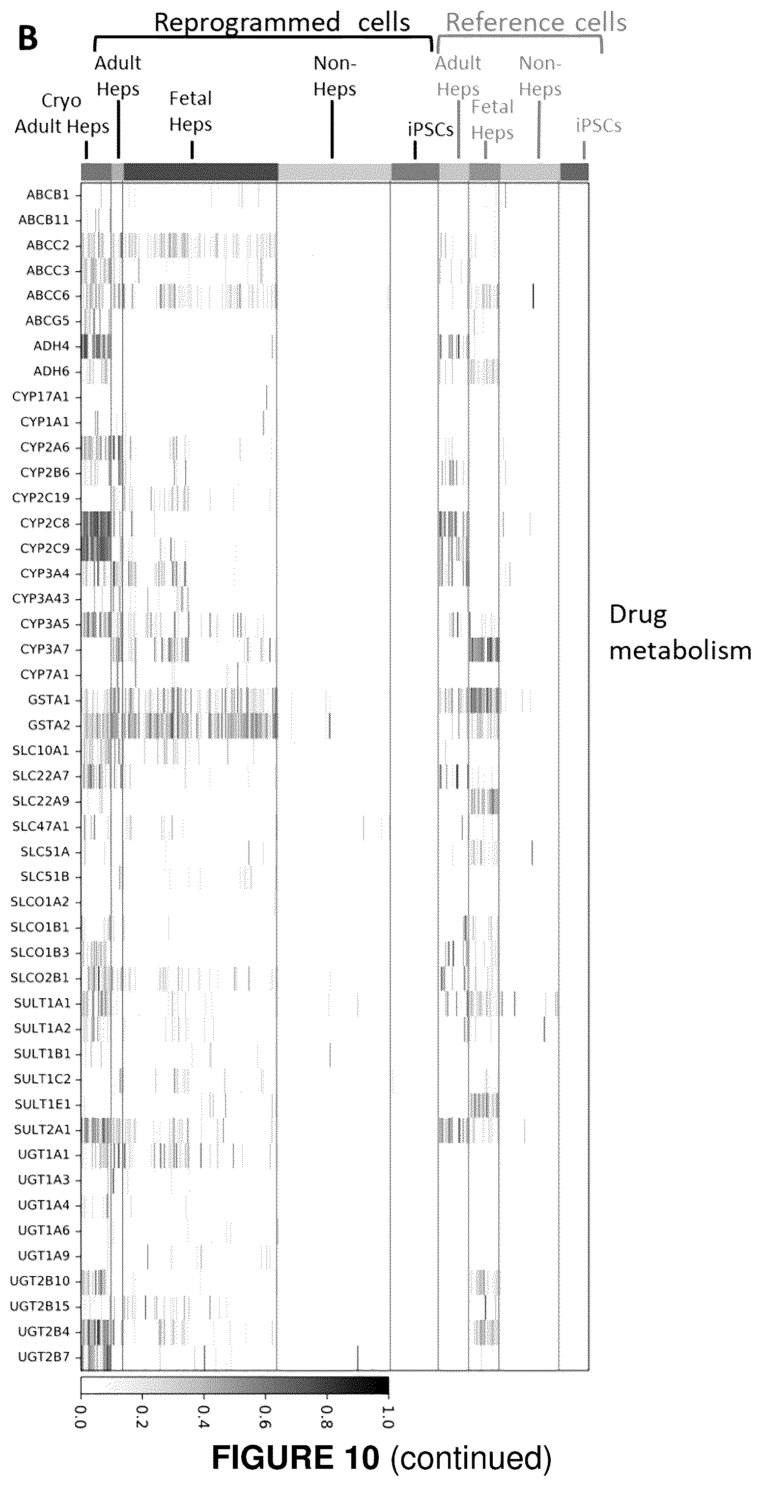Patent US12410406 Figure 15 – Method of generating hepatic cells