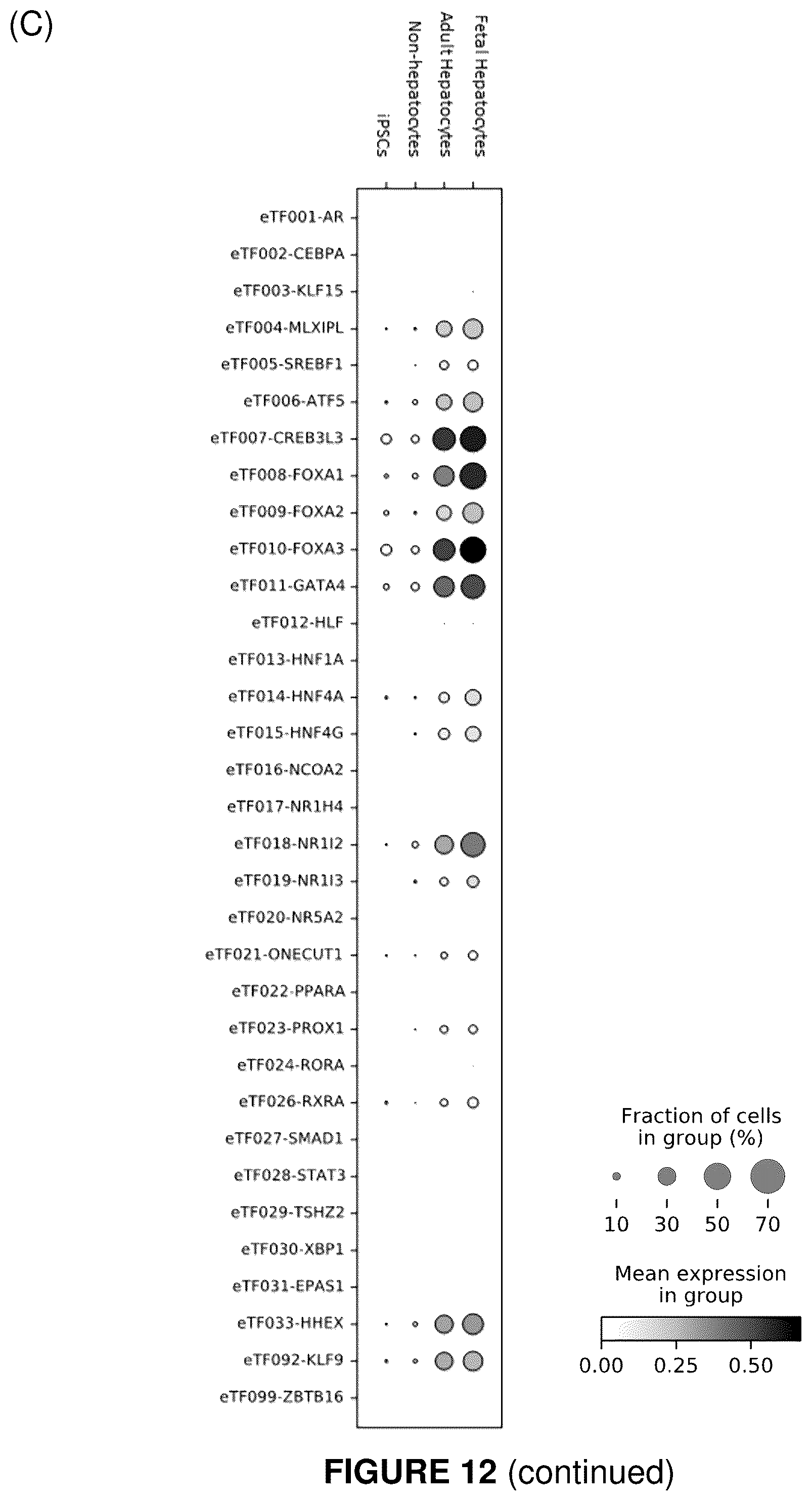 Patent US12410406 Figure 19 – Method of generating hepatic cells