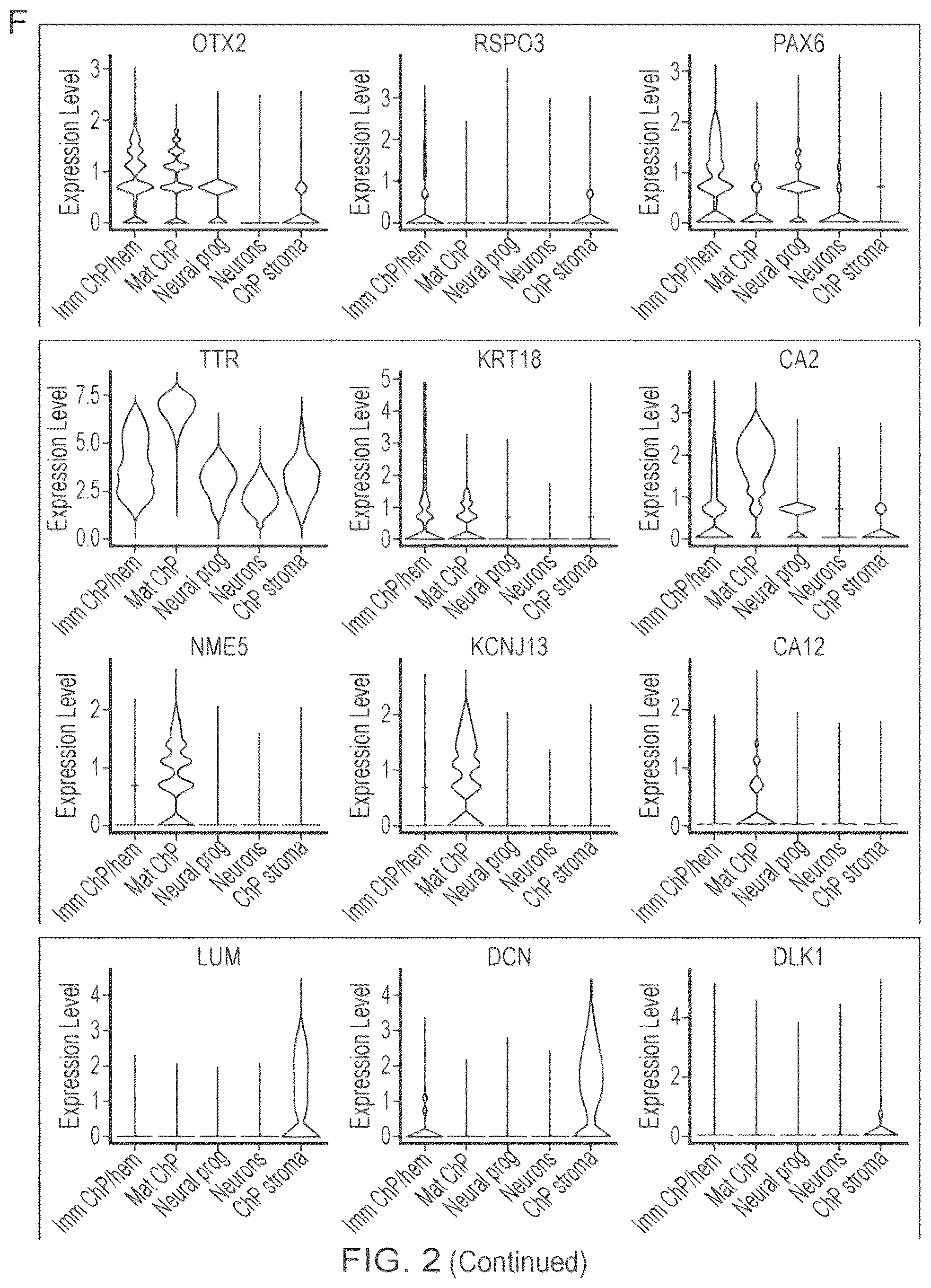 Patent US12410407 Figure 4 – Choroid plexus organoids and methods for production thereof