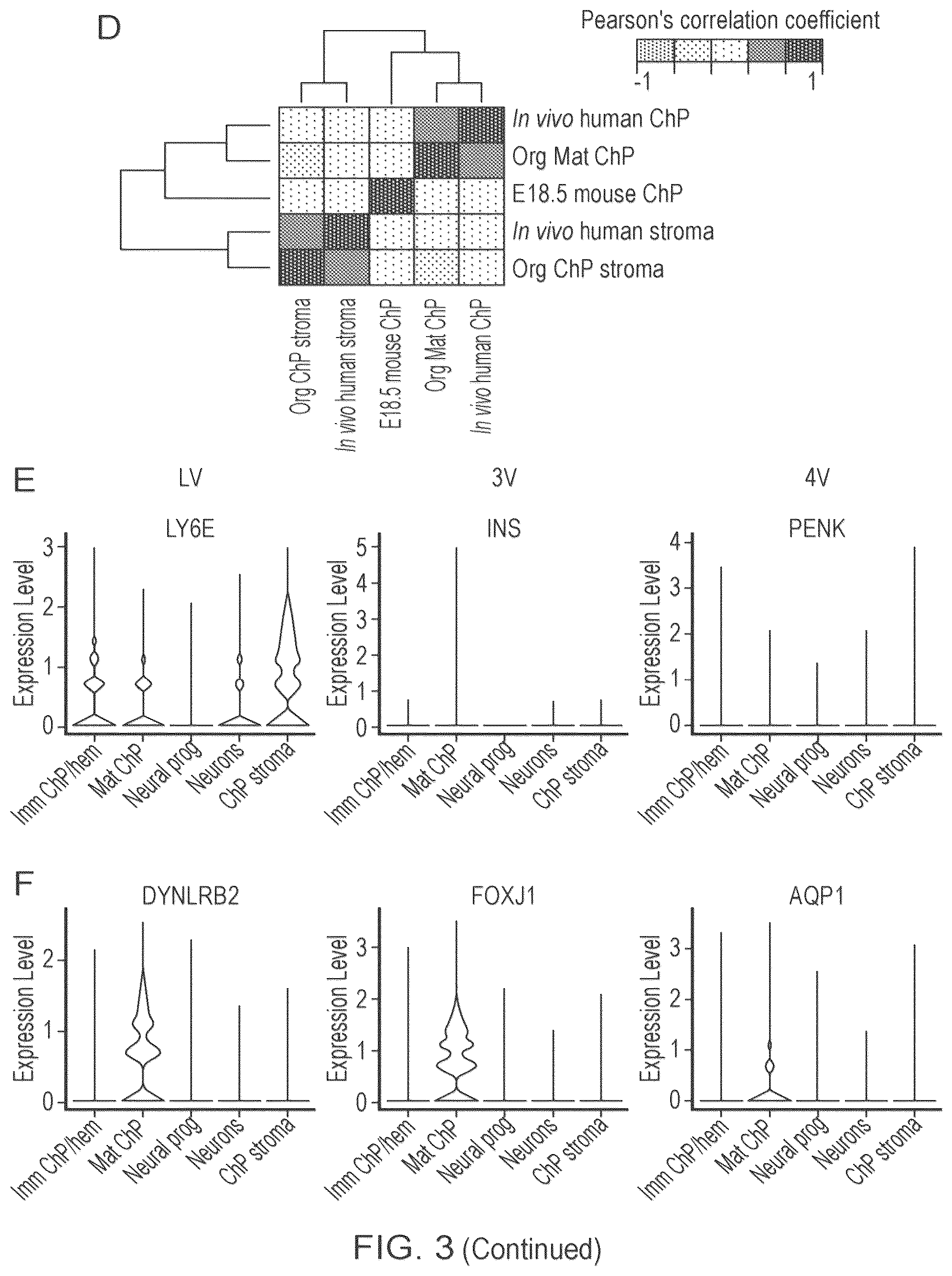 Patent US12410407 Figure 7 – Choroid plexus organoids and methods for production thereof