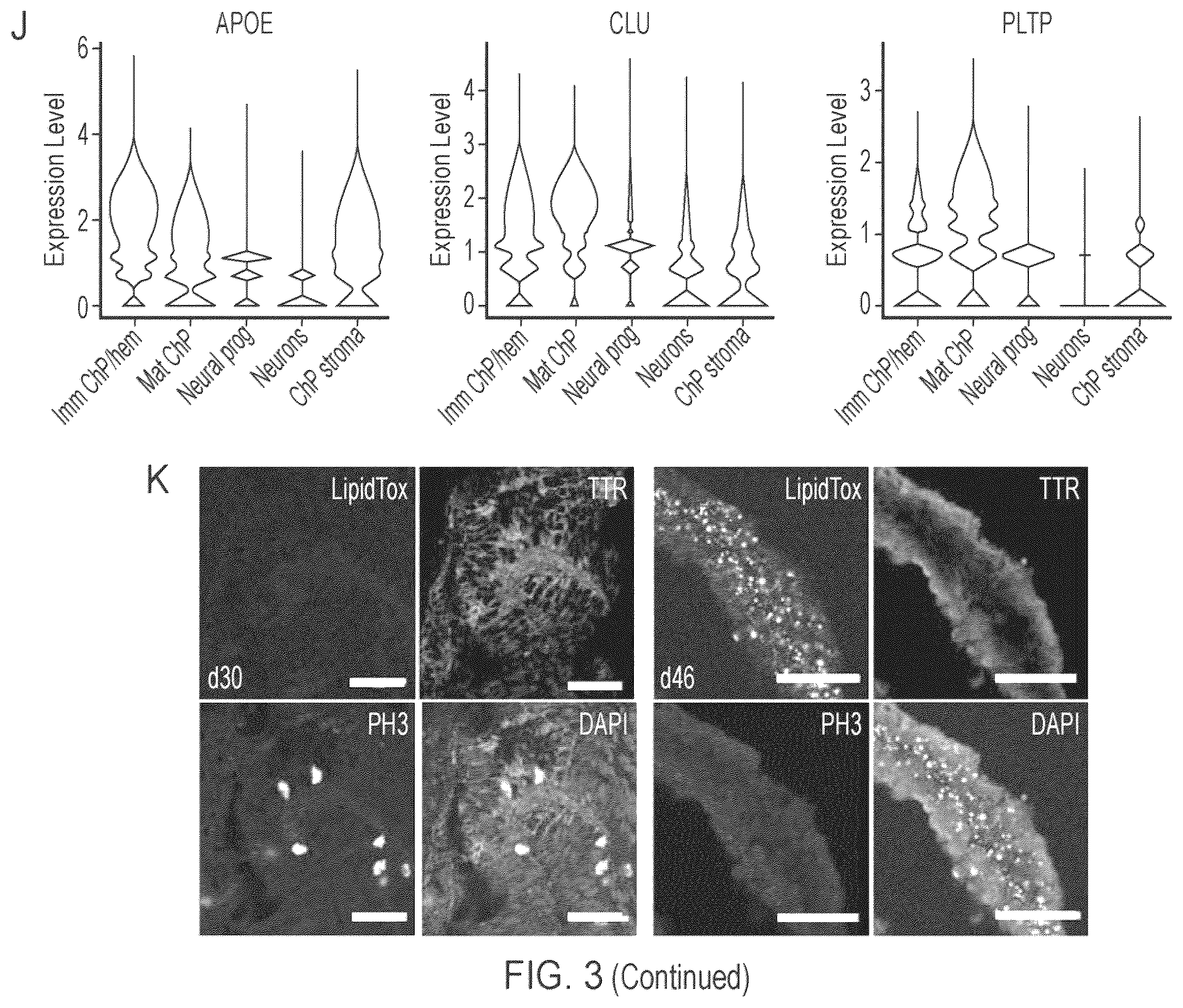 Patent US12410407 Figure 9 – Choroid plexus organoids and methods for production thereof