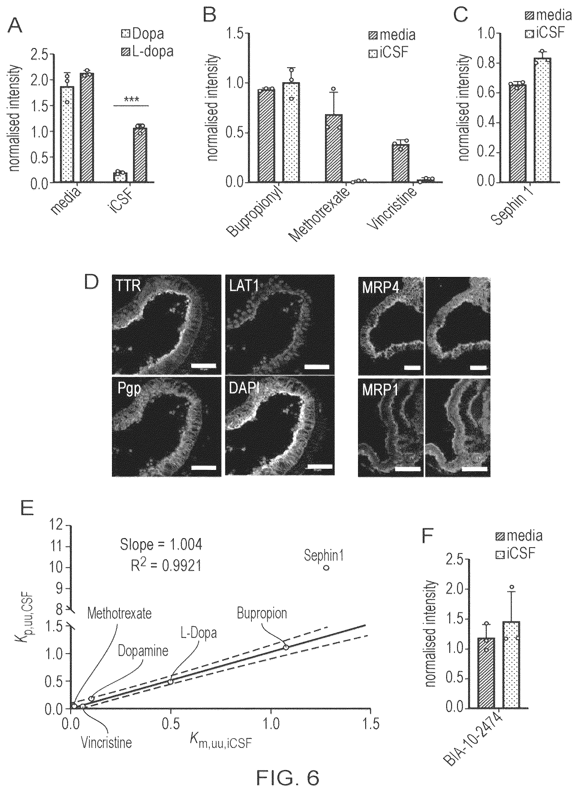 Patent US12410407 Figure 15 – Choroid plexus organoids and methods for production thereof