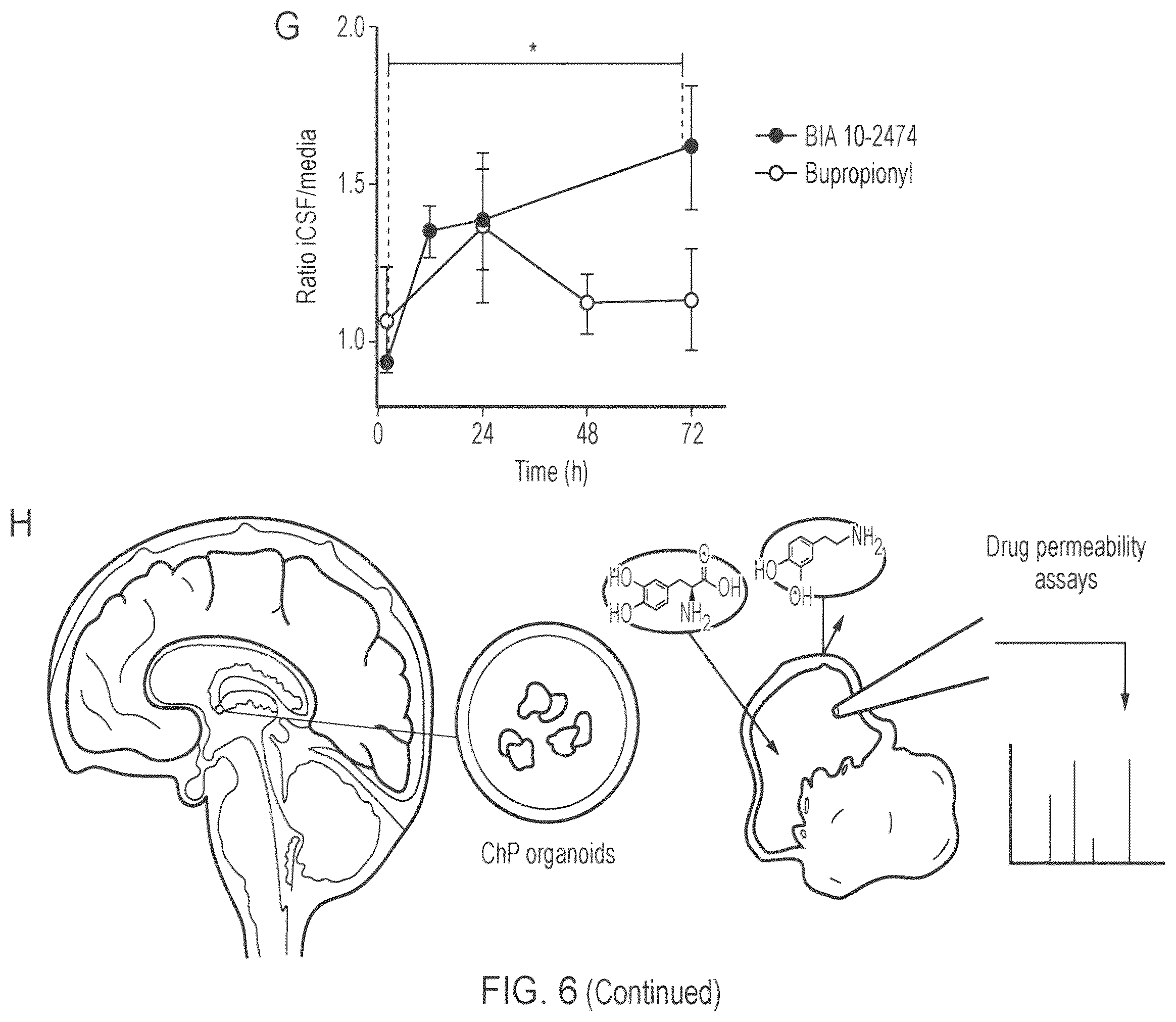 Patent US12410407 Figure 16 – Choroid plexus organoids and methods for production thereof