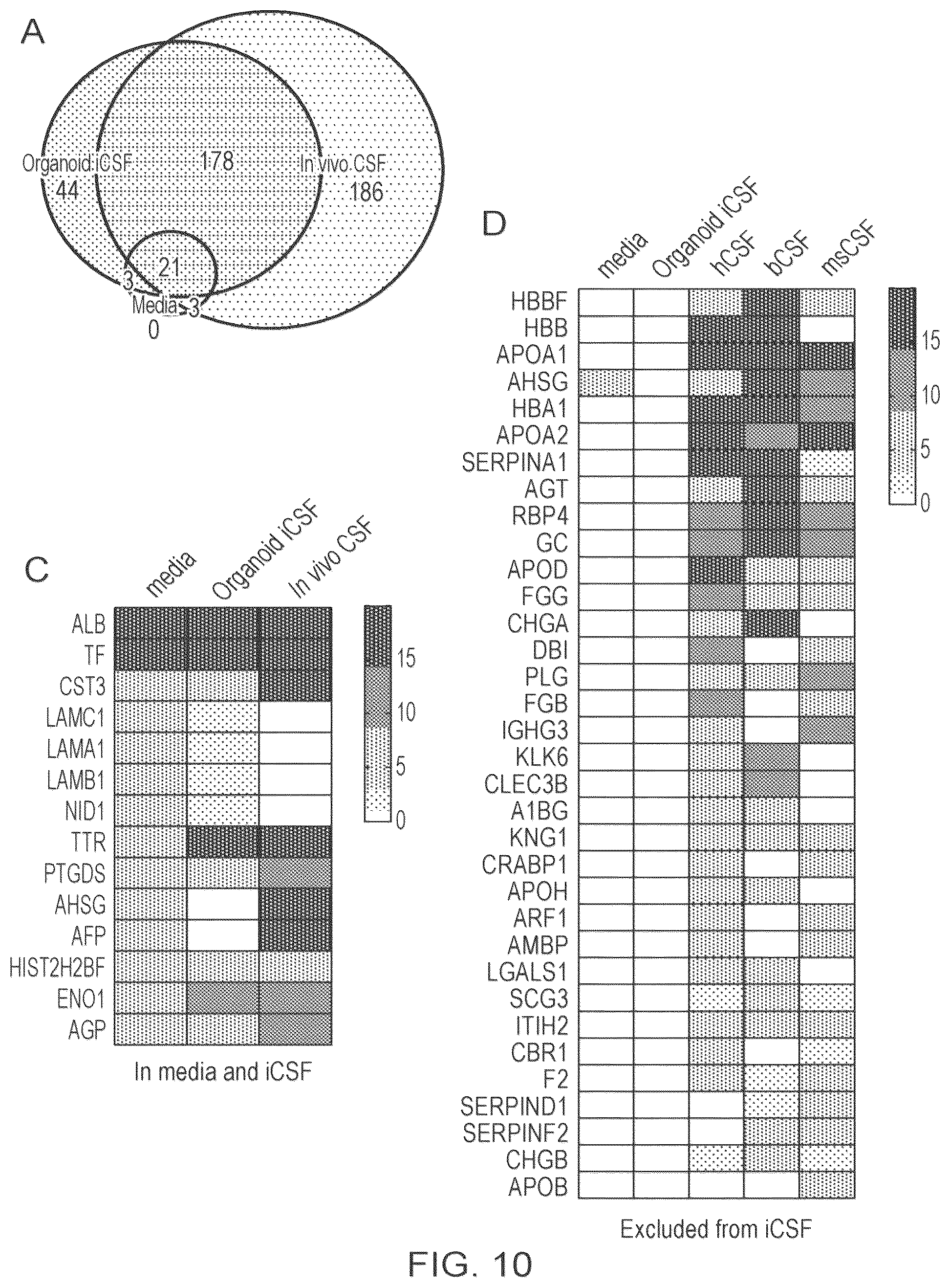 Patent US12410407 Figure 20 – Choroid plexus organoids and methods for production thereof