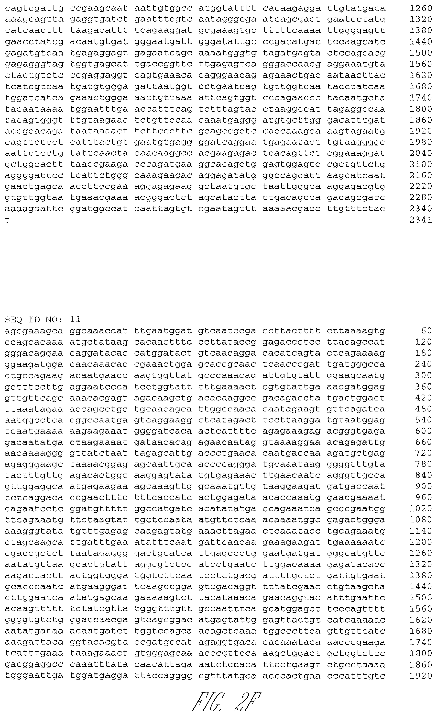 Patent US12410409 Figure 7 – Influenza viruses with mutant PB2 gene segment as live attenuated vaccines