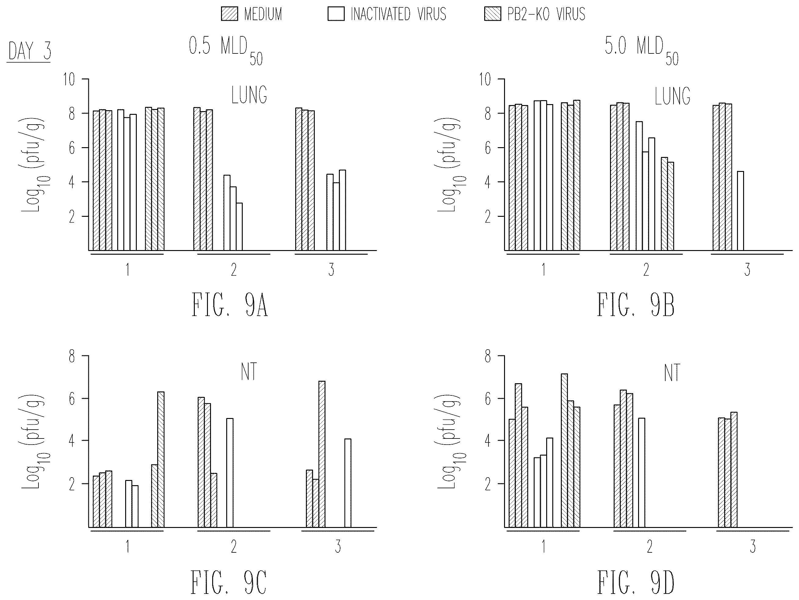 Patent US12410409 Figure 17 – Influenza viruses with mutant PB2 gene segment as live attenuated vaccines