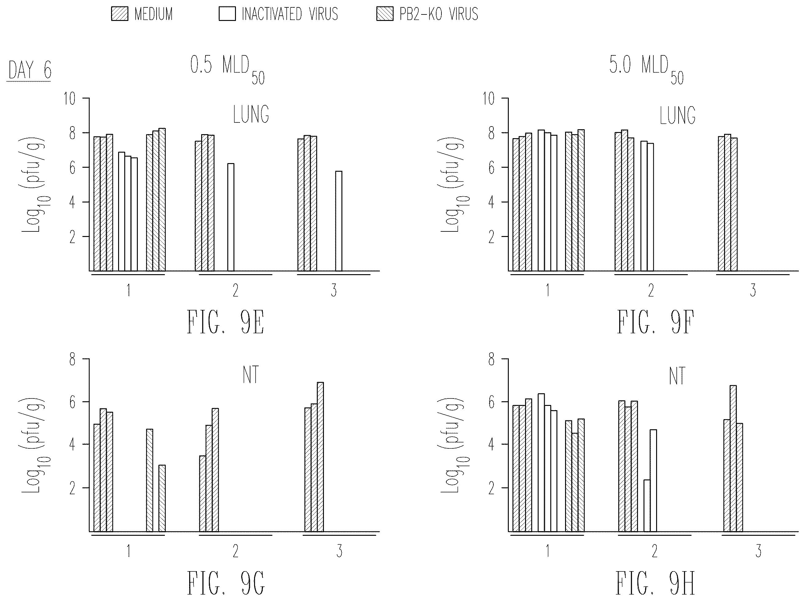 Patent US12410409 Figure 18 – Influenza viruses with mutant PB2 gene segment as live attenuated vaccines