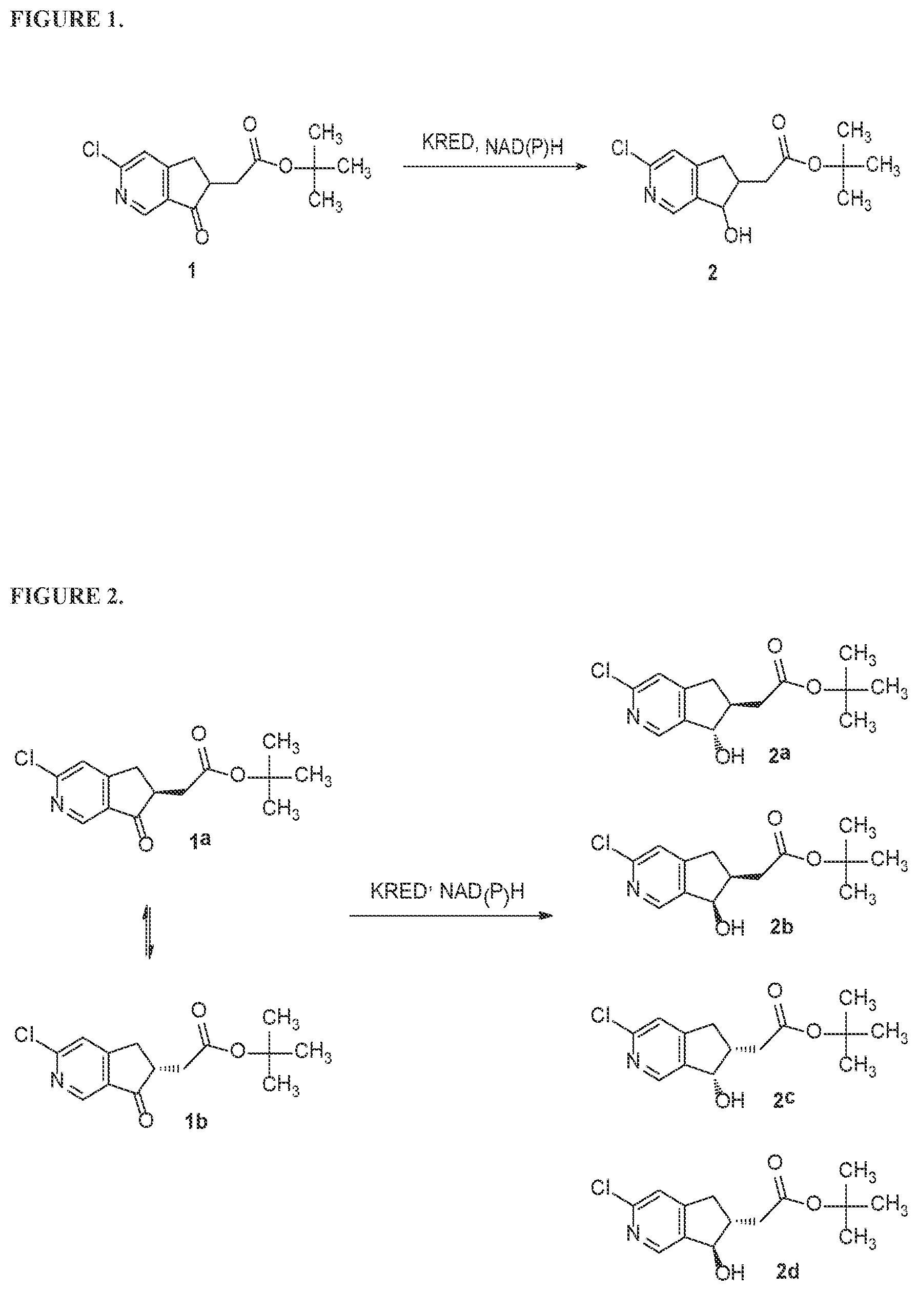 Patent US12410410 Figure 1 – Ketoreductase polypeptides for the synthesis of chiral compounds