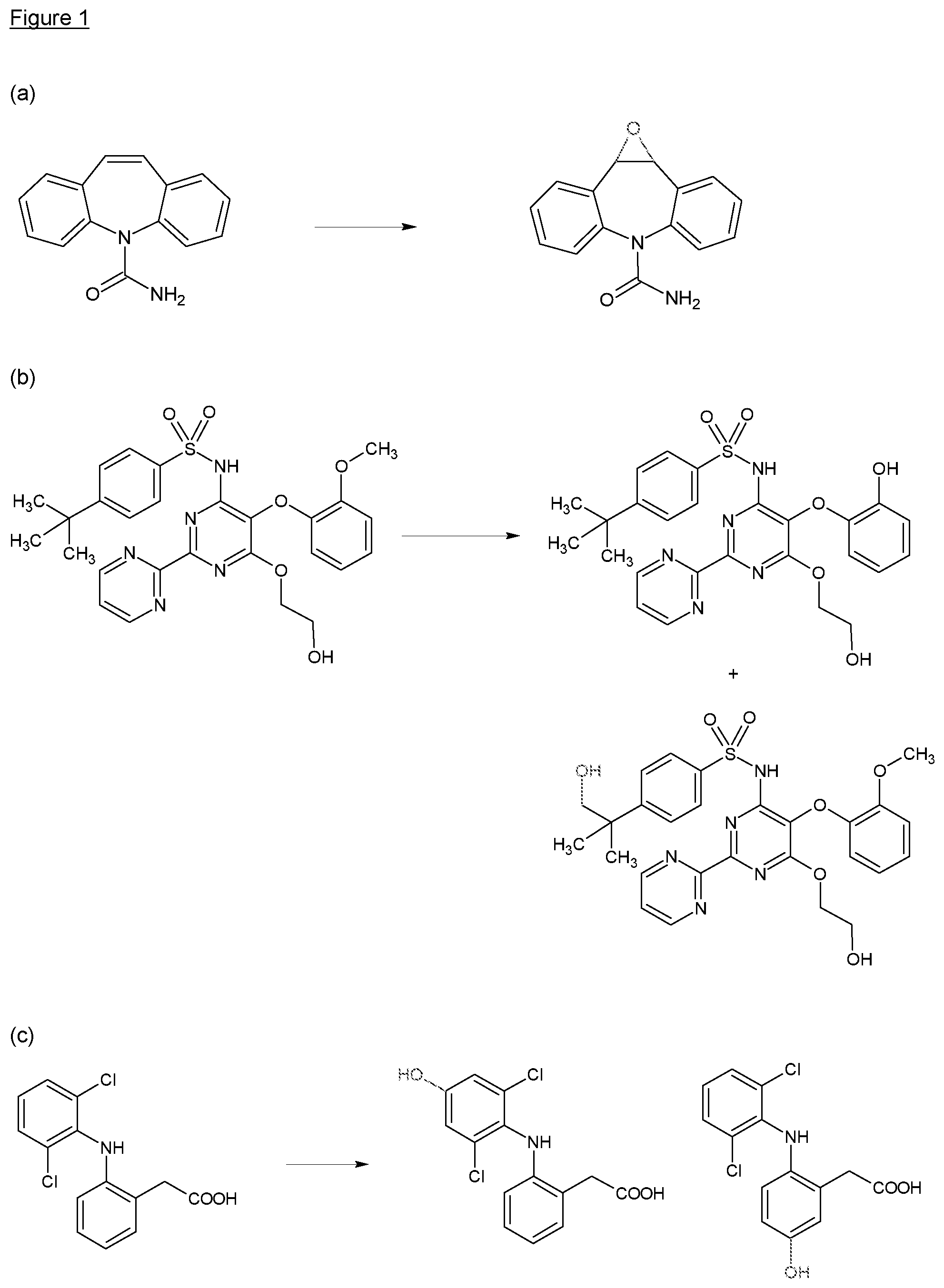 Patent US12410411 Figure 1 – Biocatalytic techniques