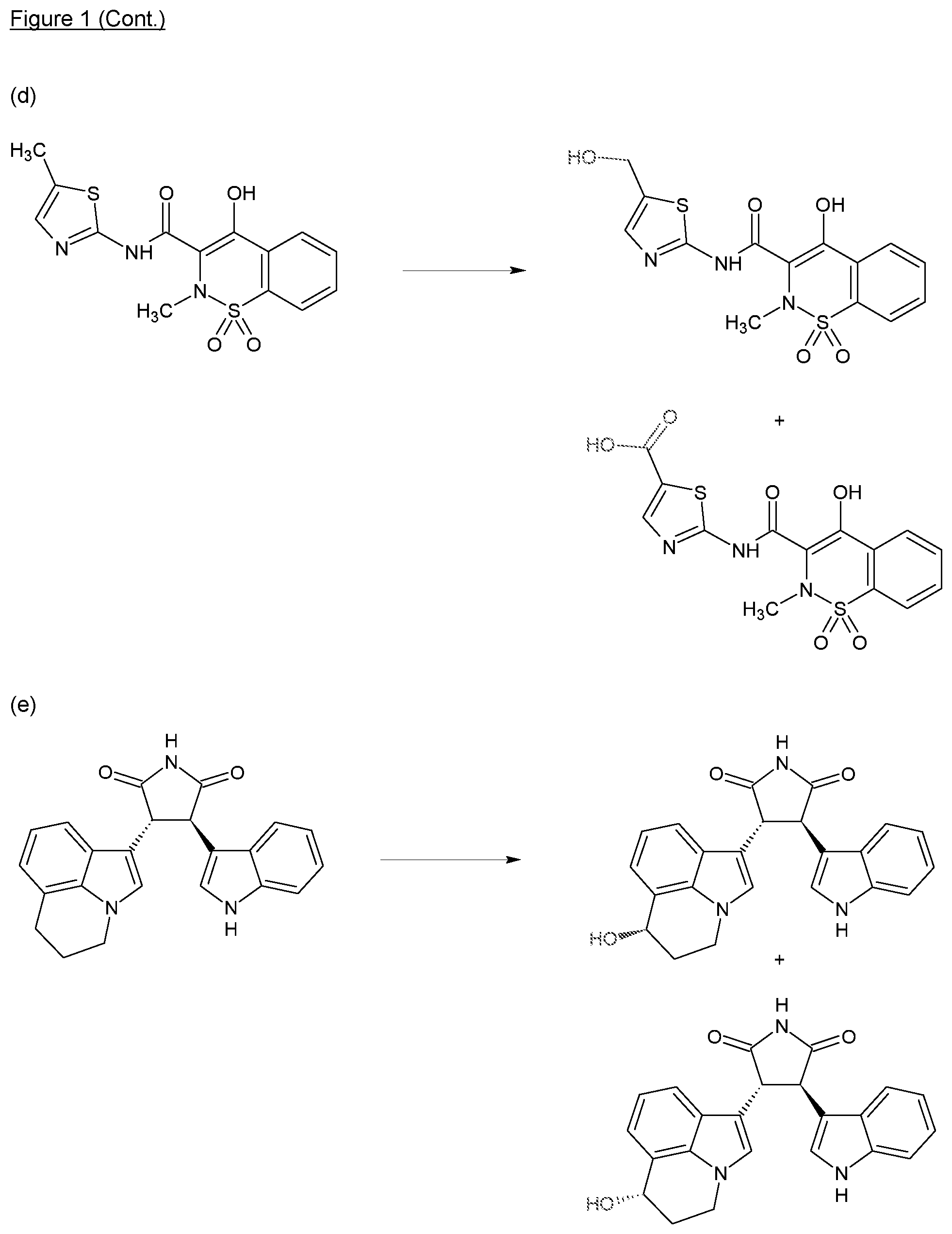 Patent US12410411 Figure 2 – Biocatalytic techniques