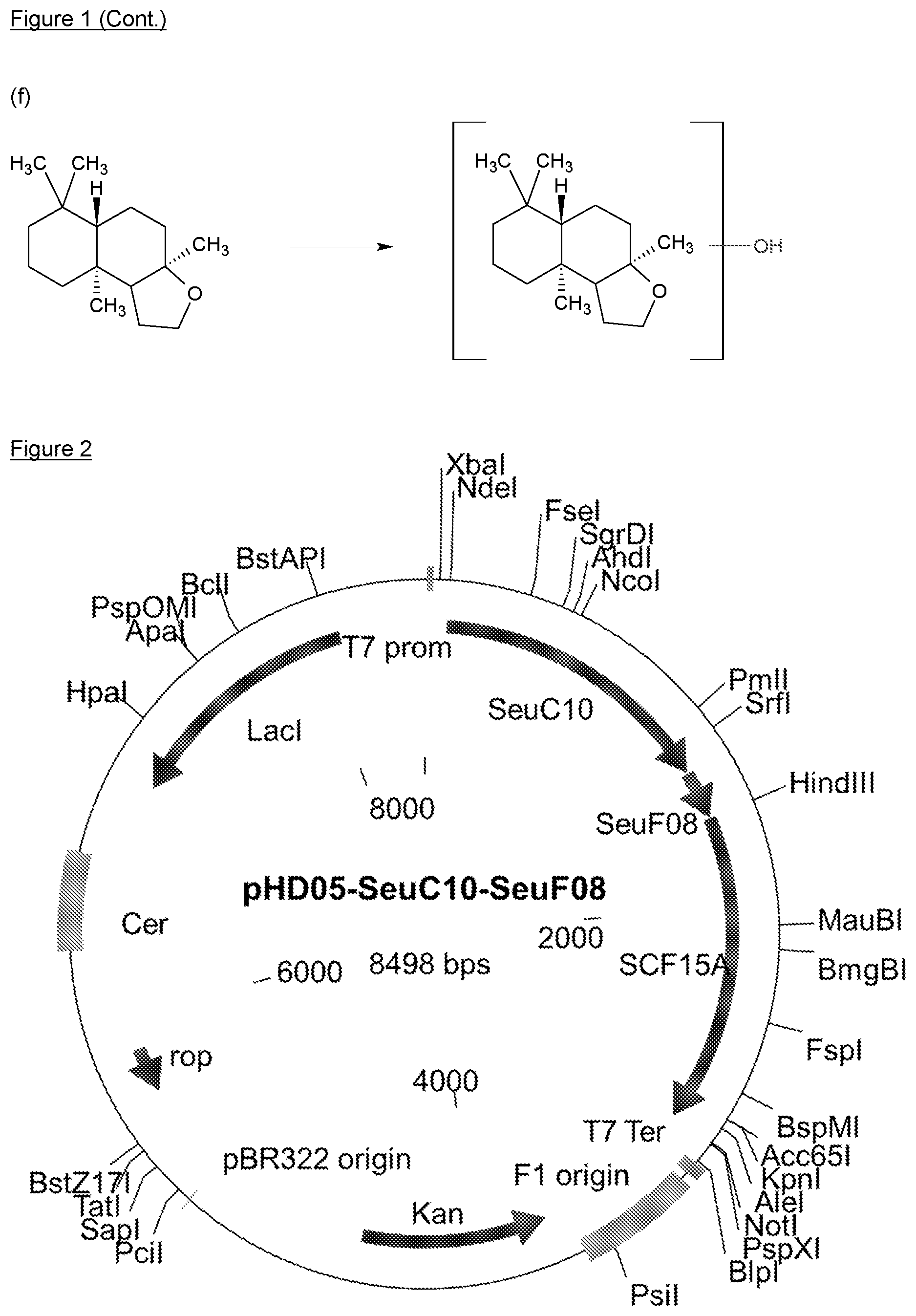 Patent US12410411 Figure 3 – Biocatalytic techniques