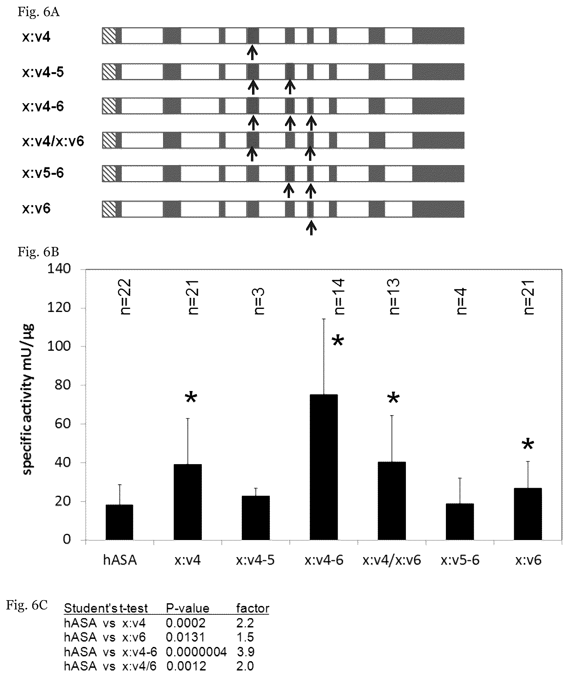 Patent US12410415 Figure 6 – Mutated arylsulfatase a