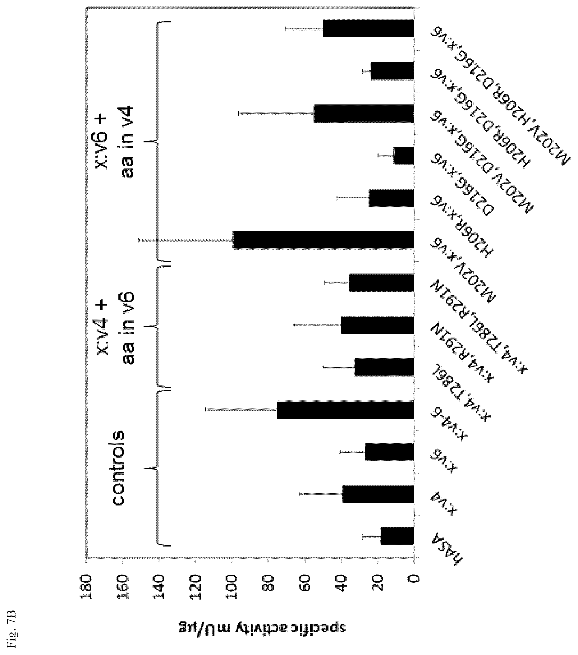 Patent US12410415 Figure 8 – Mutated arylsulfatase a