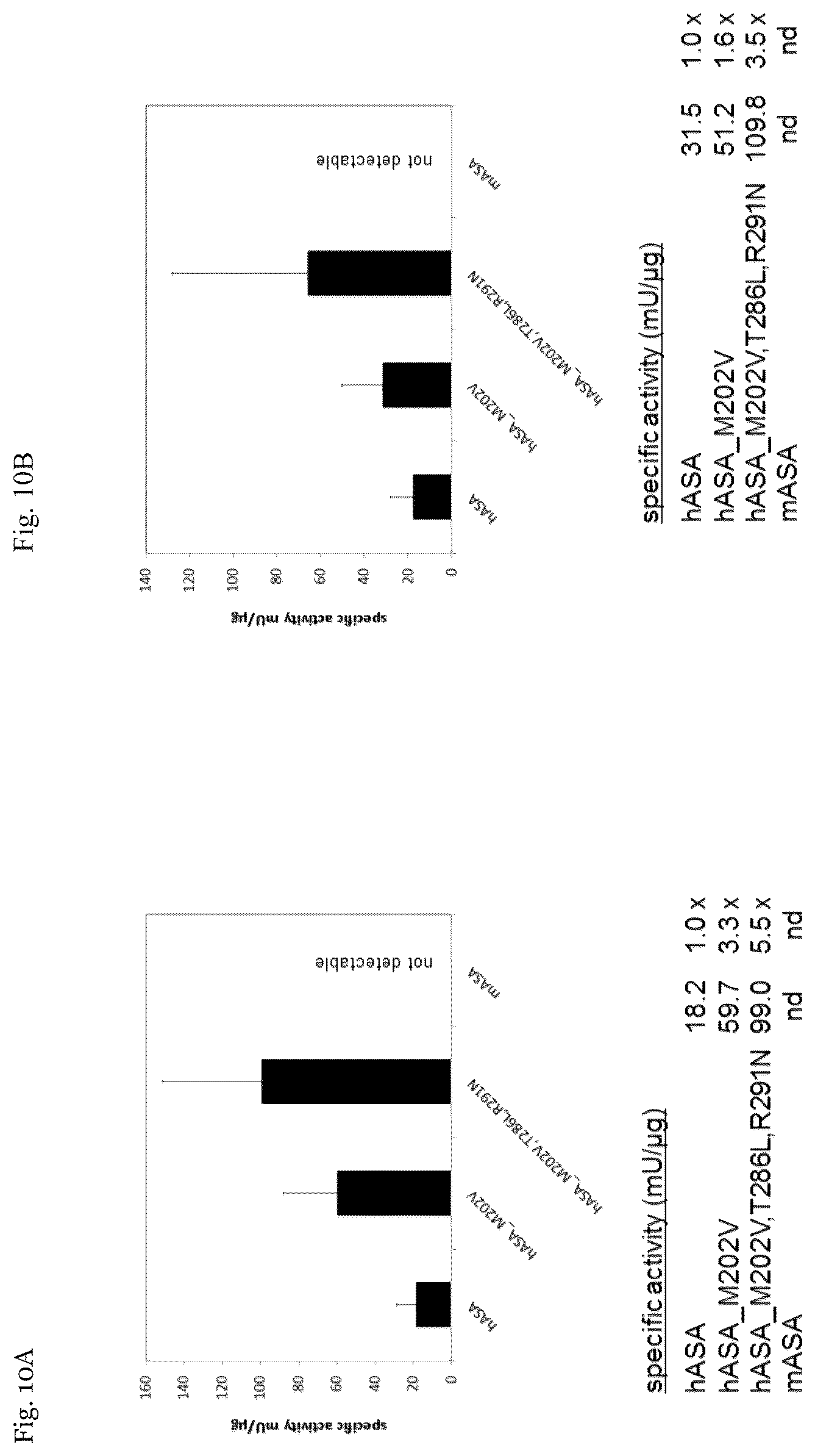 Patent US12410415 Figure 11 – Mutated arylsulfatase a