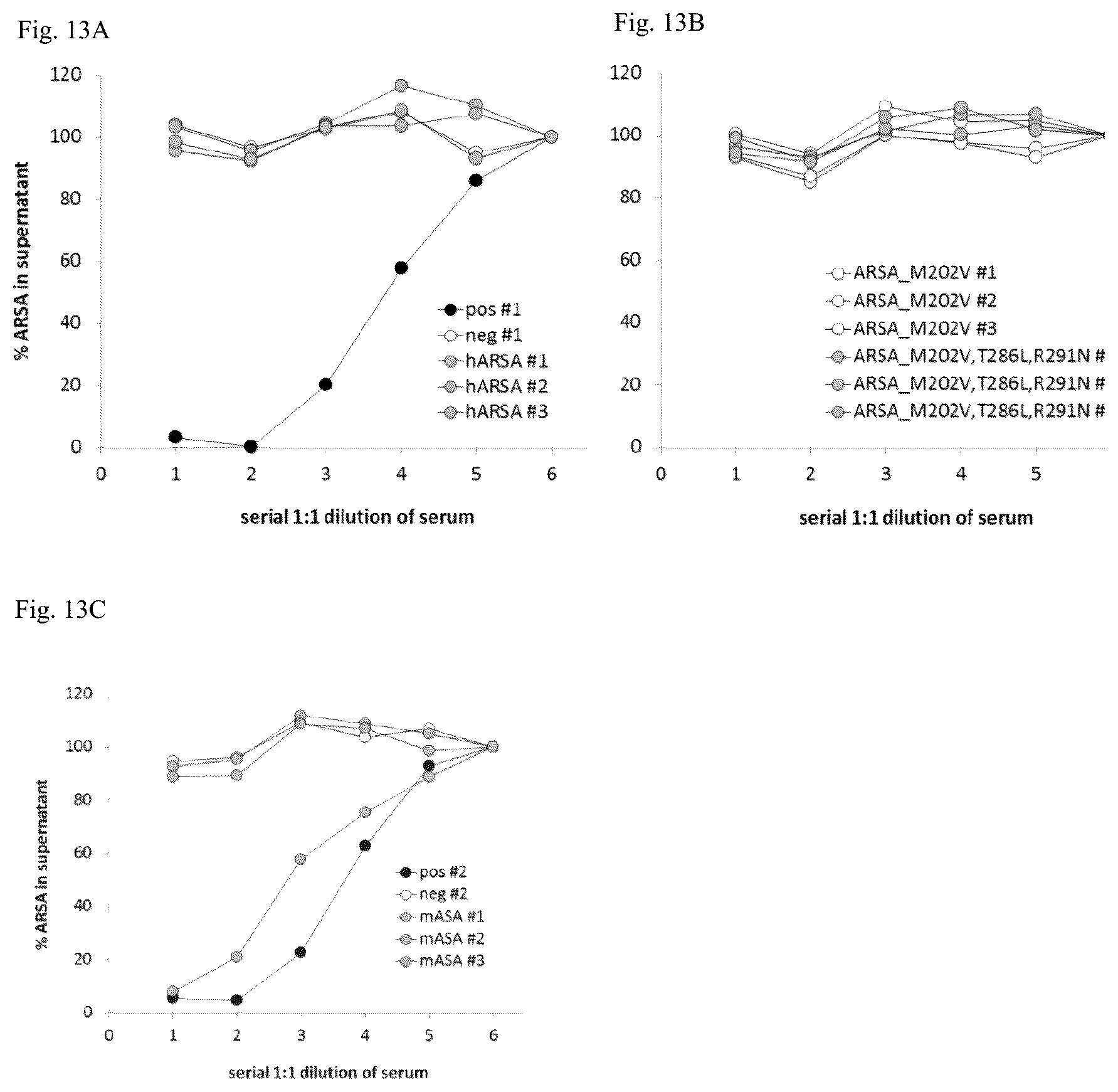 Patent US12410415 Figure 15 – Mutated arylsulfatase a