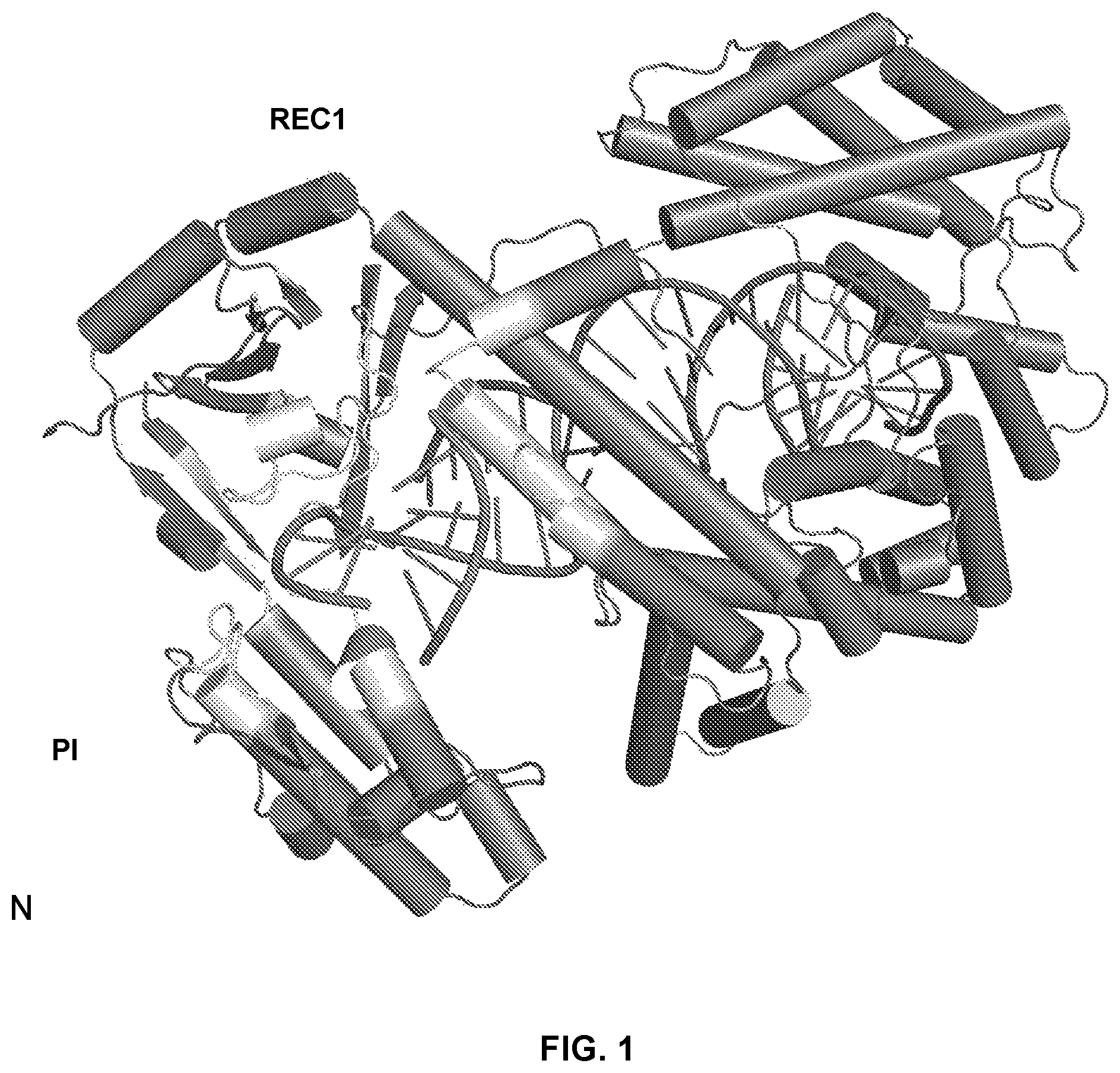 Patent US12410416 Figure 1 – CRISPR enzymes and systems with modified pam specificity