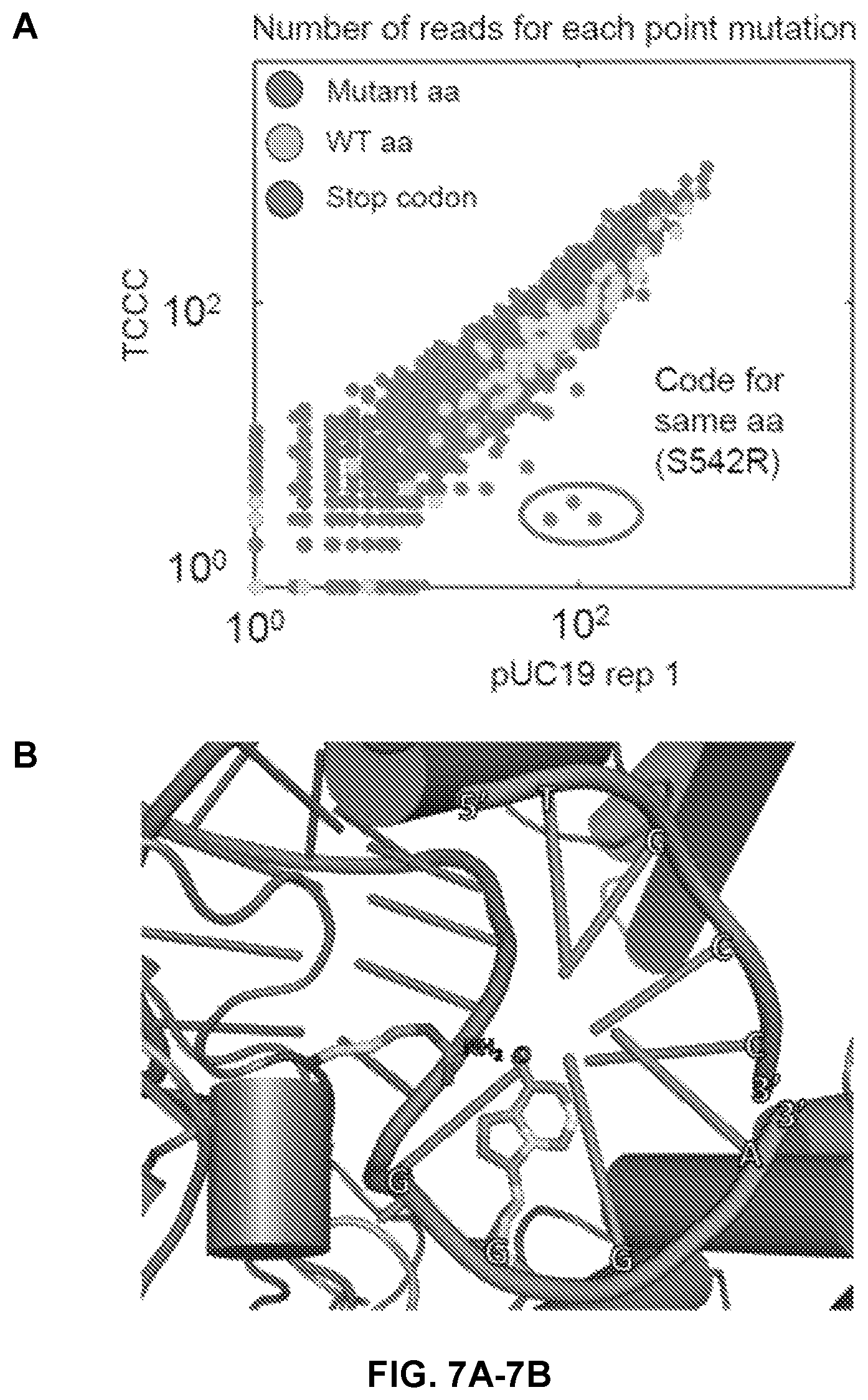 Patent US12410416 Figure 8 – CRISPR enzymes and systems with modified pam specificity