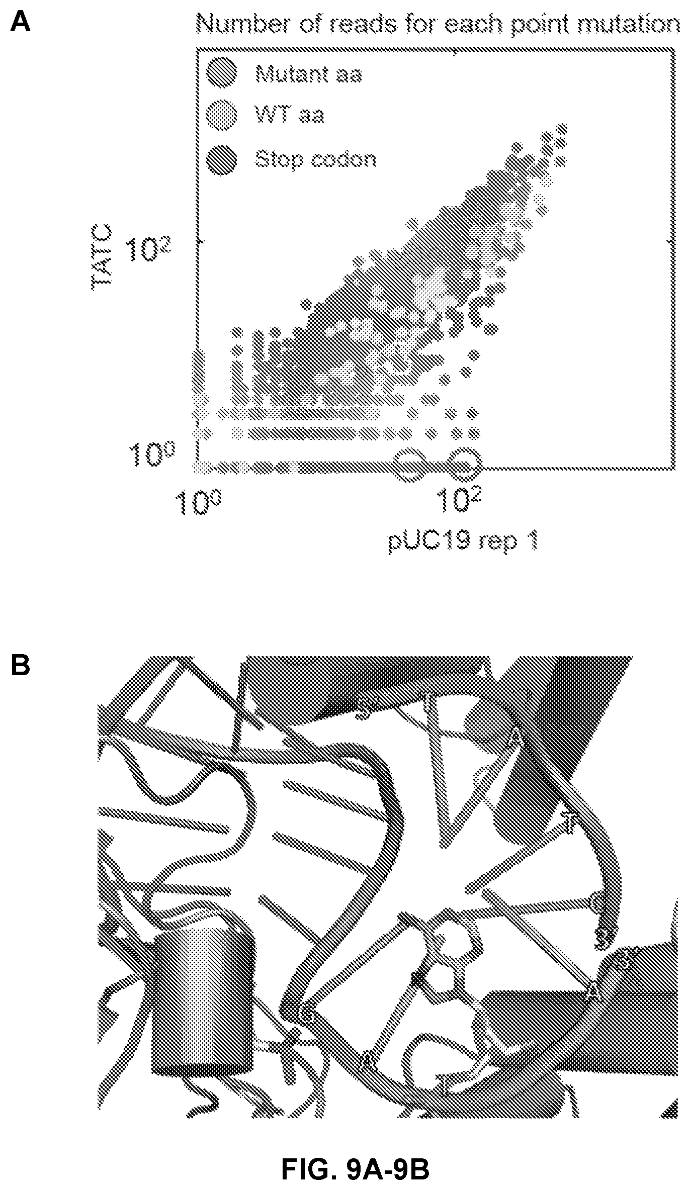 Patent US12410416 Figure 10 – CRISPR enzymes and systems with modified pam specificity