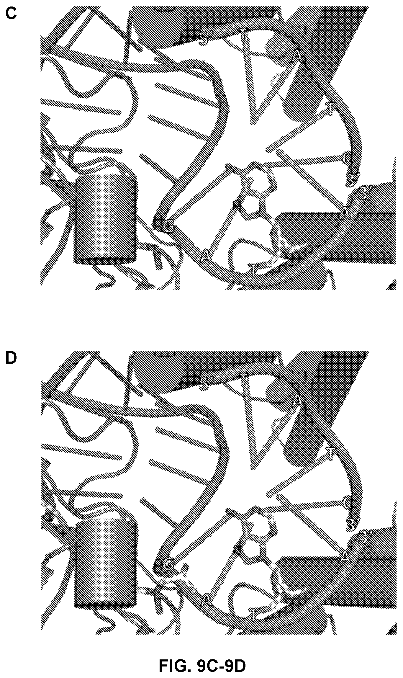 Patent US12410416 Figure 11 – CRISPR enzymes and systems with modified pam specificity