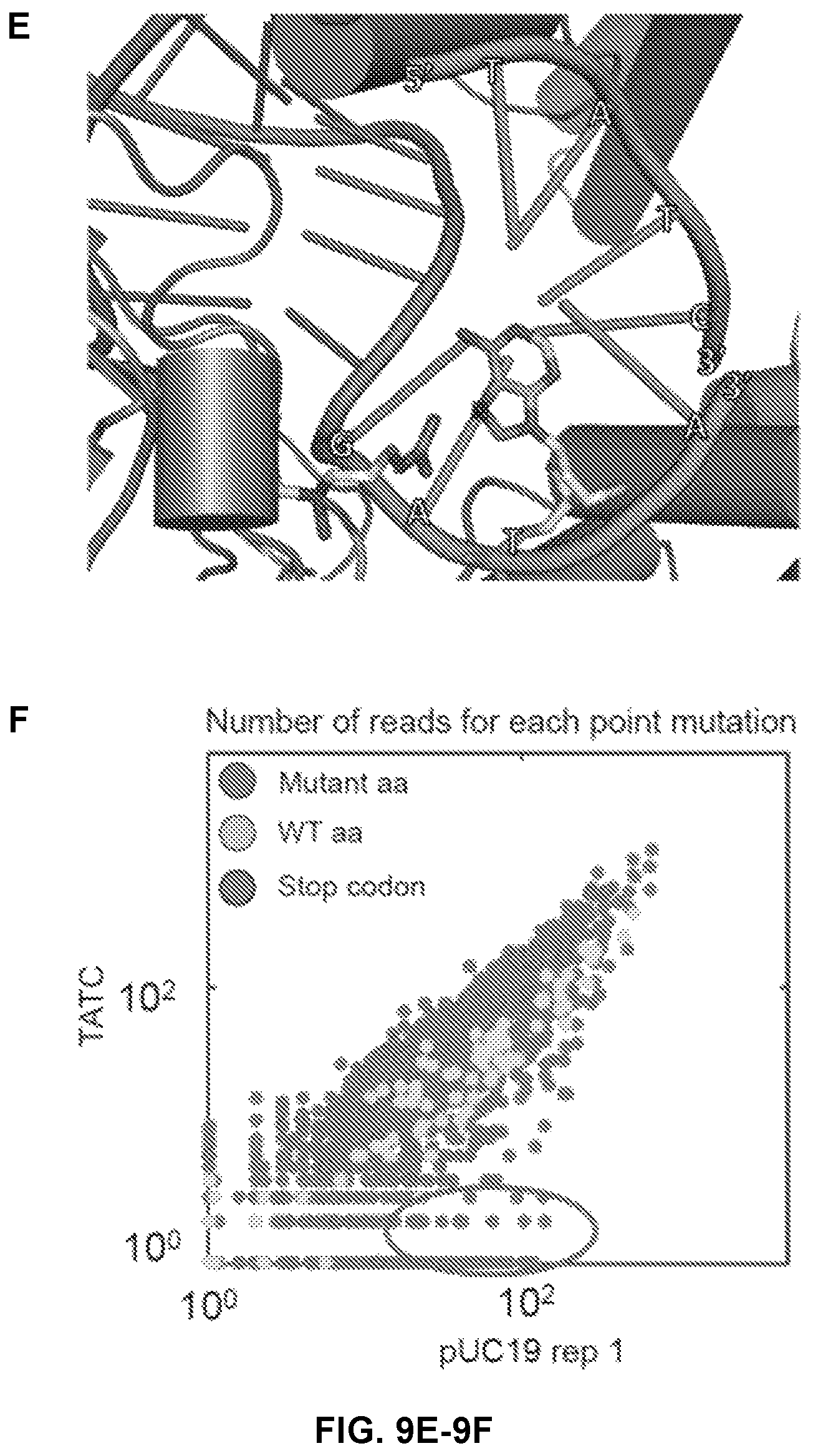 Patent US12410416 Figure 12 – CRISPR enzymes and systems with modified pam specificity