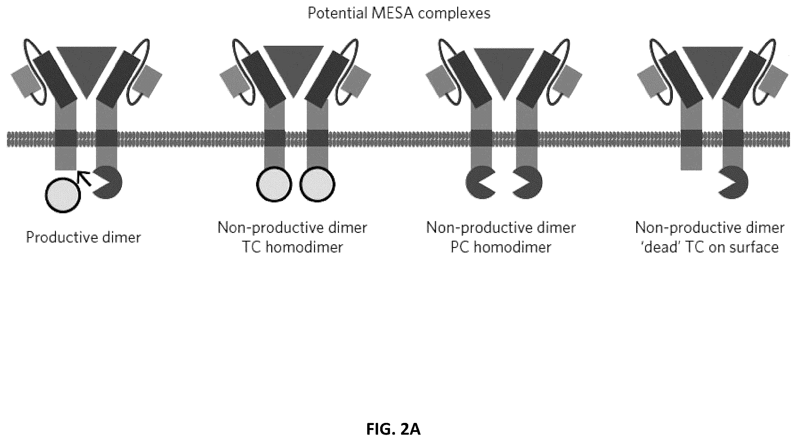 Patent US12410417 Figure 6 – Modular extracellular sensor architecture for regulating genes