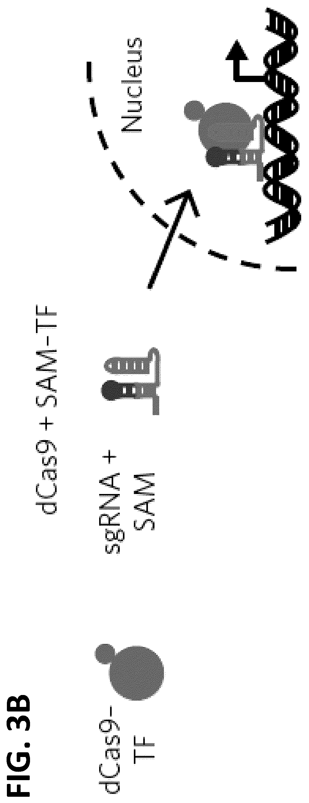 Patent US12410417 Figure 13 – Modular extracellular sensor architecture for regulating genes